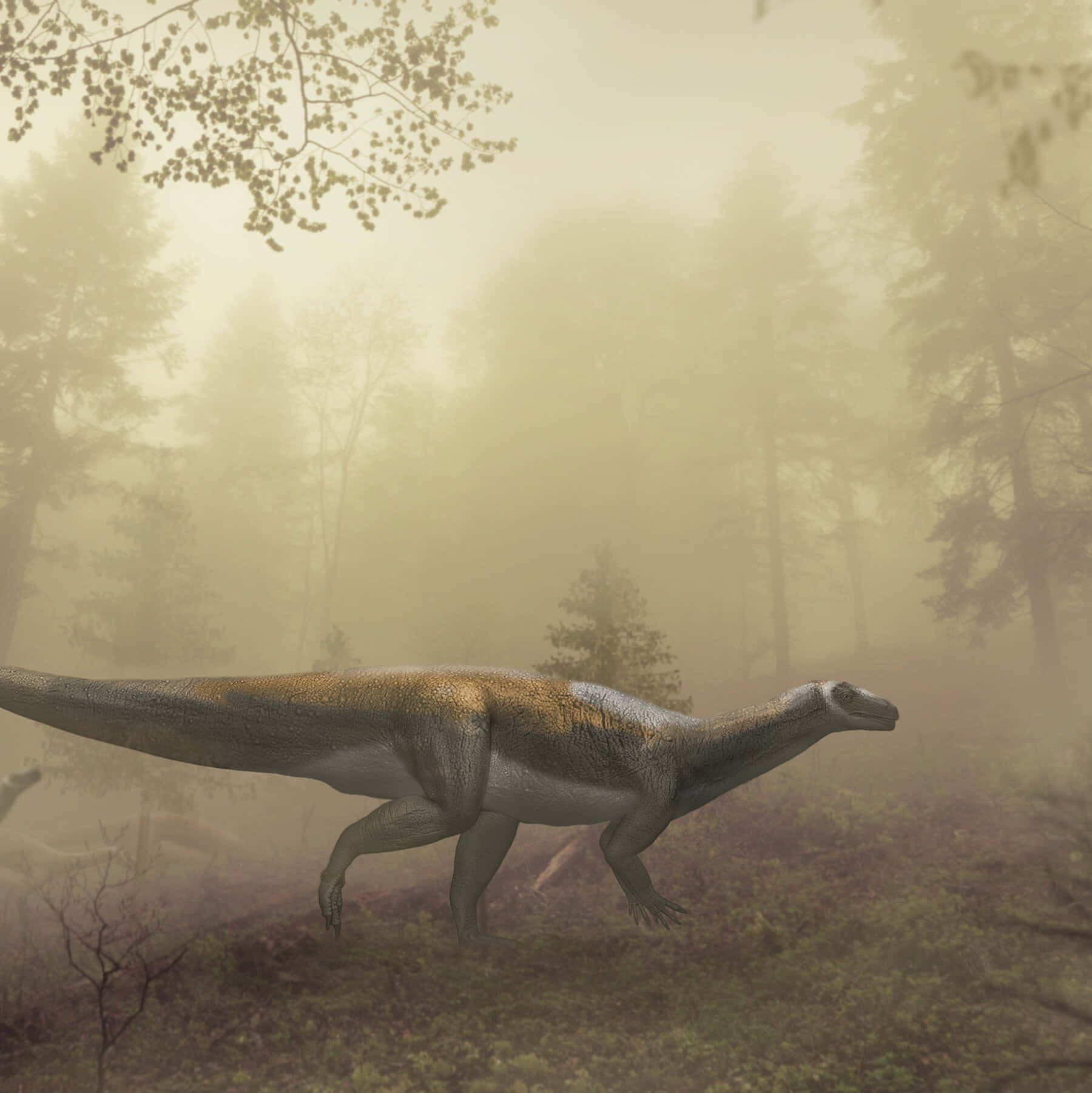 Misty Forest Dinosaur, long-necked dinosaur, misty forest, HD Phone Wallpaper