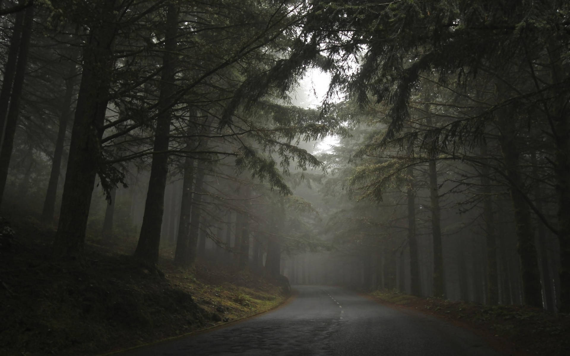 dark foggy forest, road, misty forest road, Full HD Desktop Wallpaper