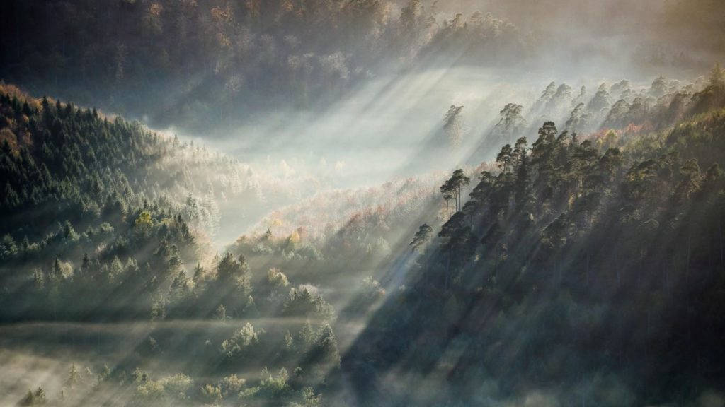 foggy forest, mountainous area, autumn forests, SD Desktop Wallpaper