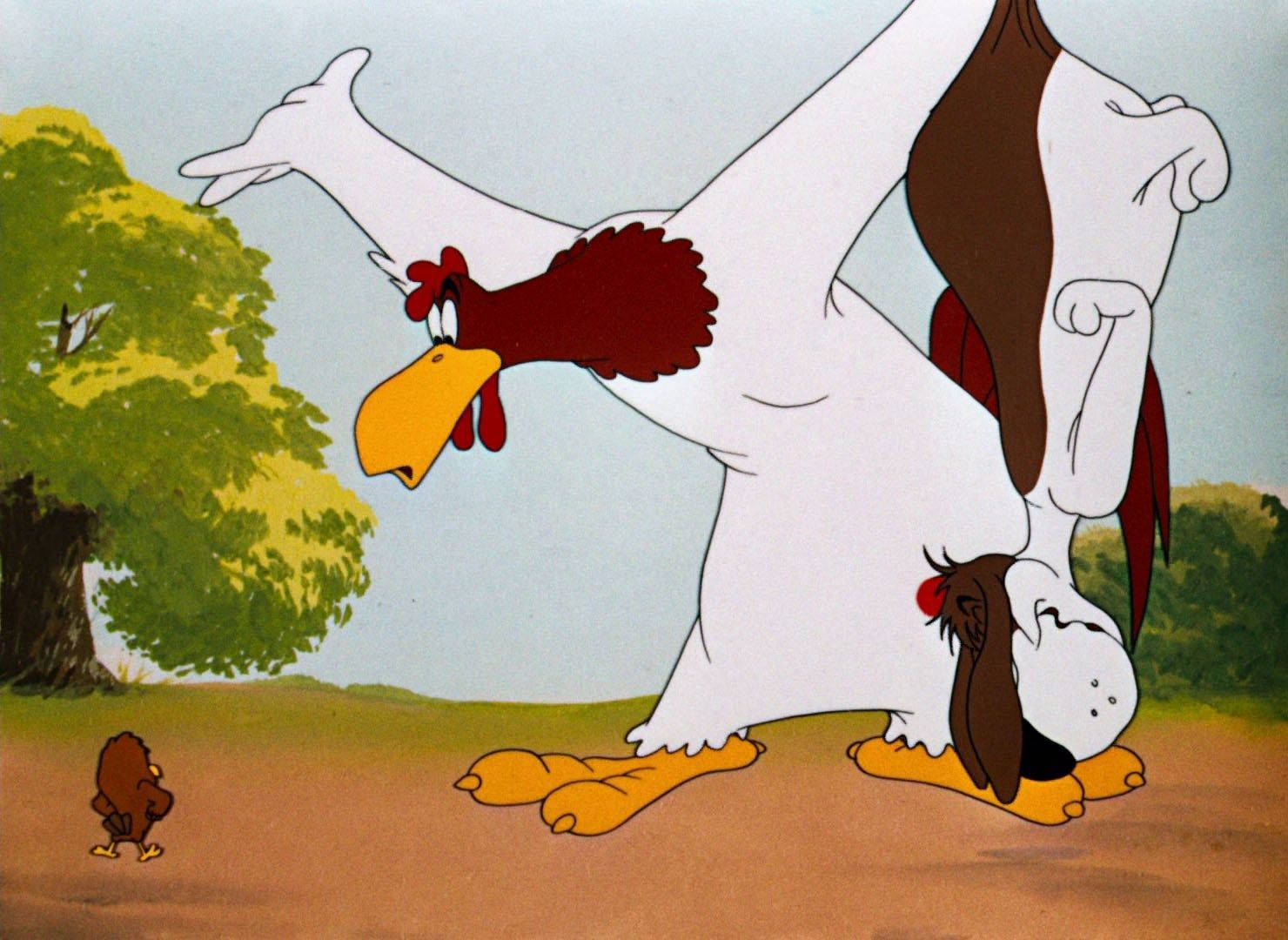 Foghorn Leghorn, cartoon rooster, grassy field, HD Desktop Wallpaper