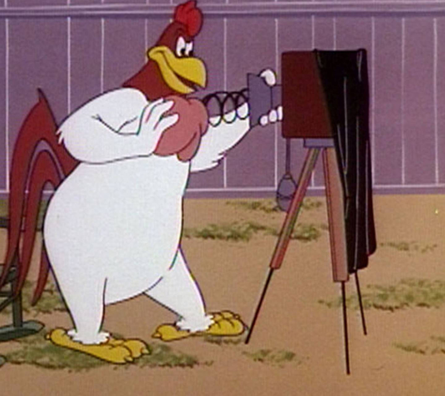 Foghorn Leghorn, red comb, yellow feet, HD Desktop Wallpaper