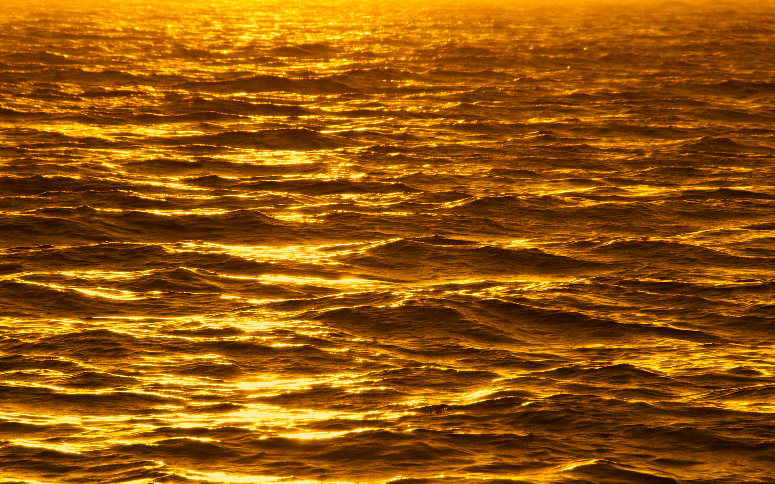 Gold Foil Ocean, golden sunlight, rippling ocean waves, 2K Desktop Wallpaper