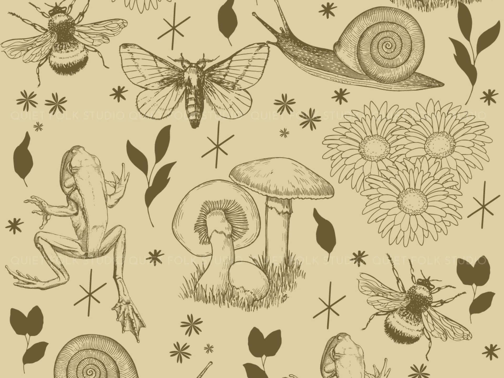goblincore, botanical illustration, frogs, Full HD Desktop Wallpaper