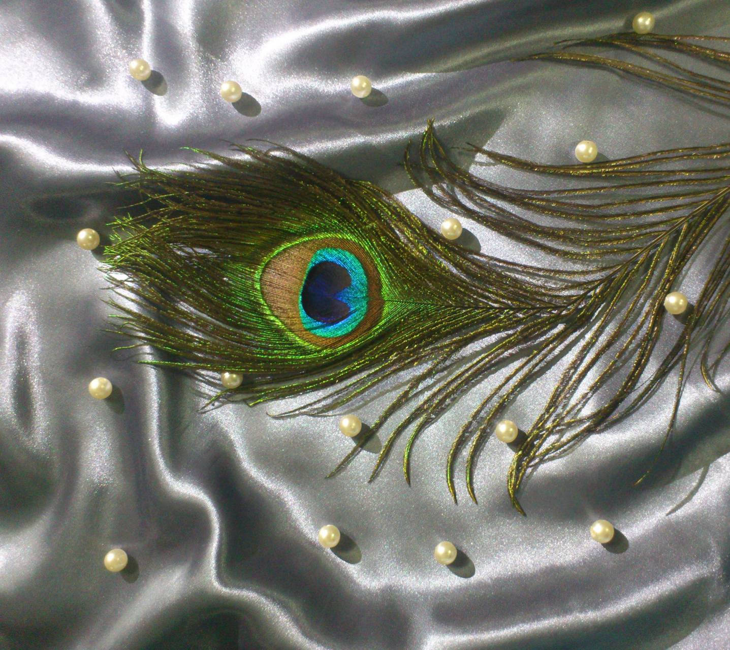peacock feather, iridescent eye pattern, silver satin, HD Desktop Wallpaper