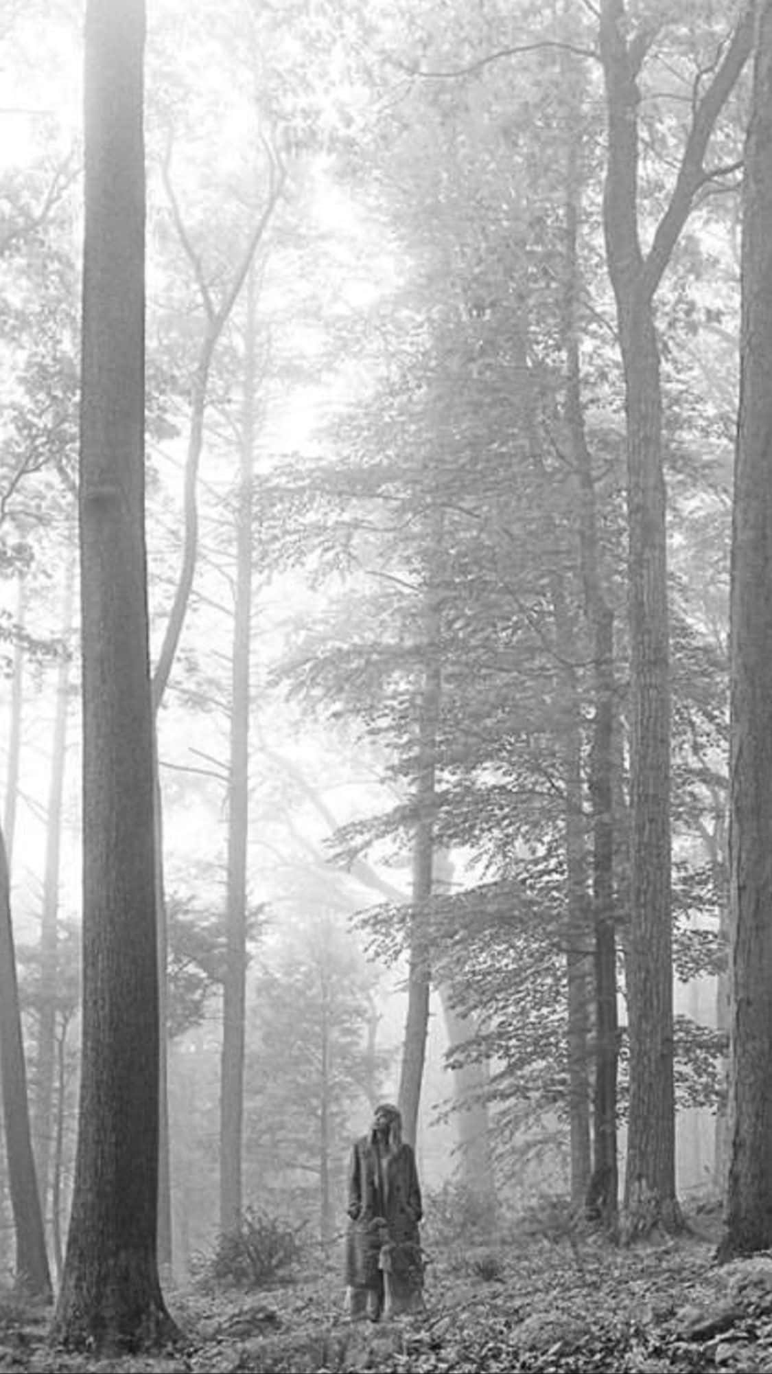 mystical forest figure, long coat, misty forest, Full HD Phone Wallpaper