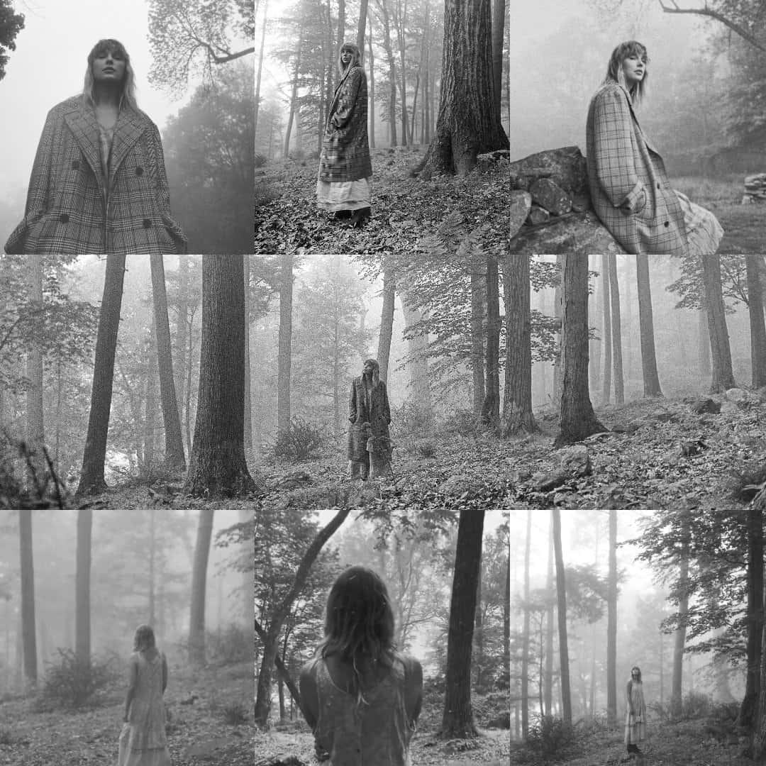 misty forest, plaid coat, tall trees, SD Desktop Wallpaper