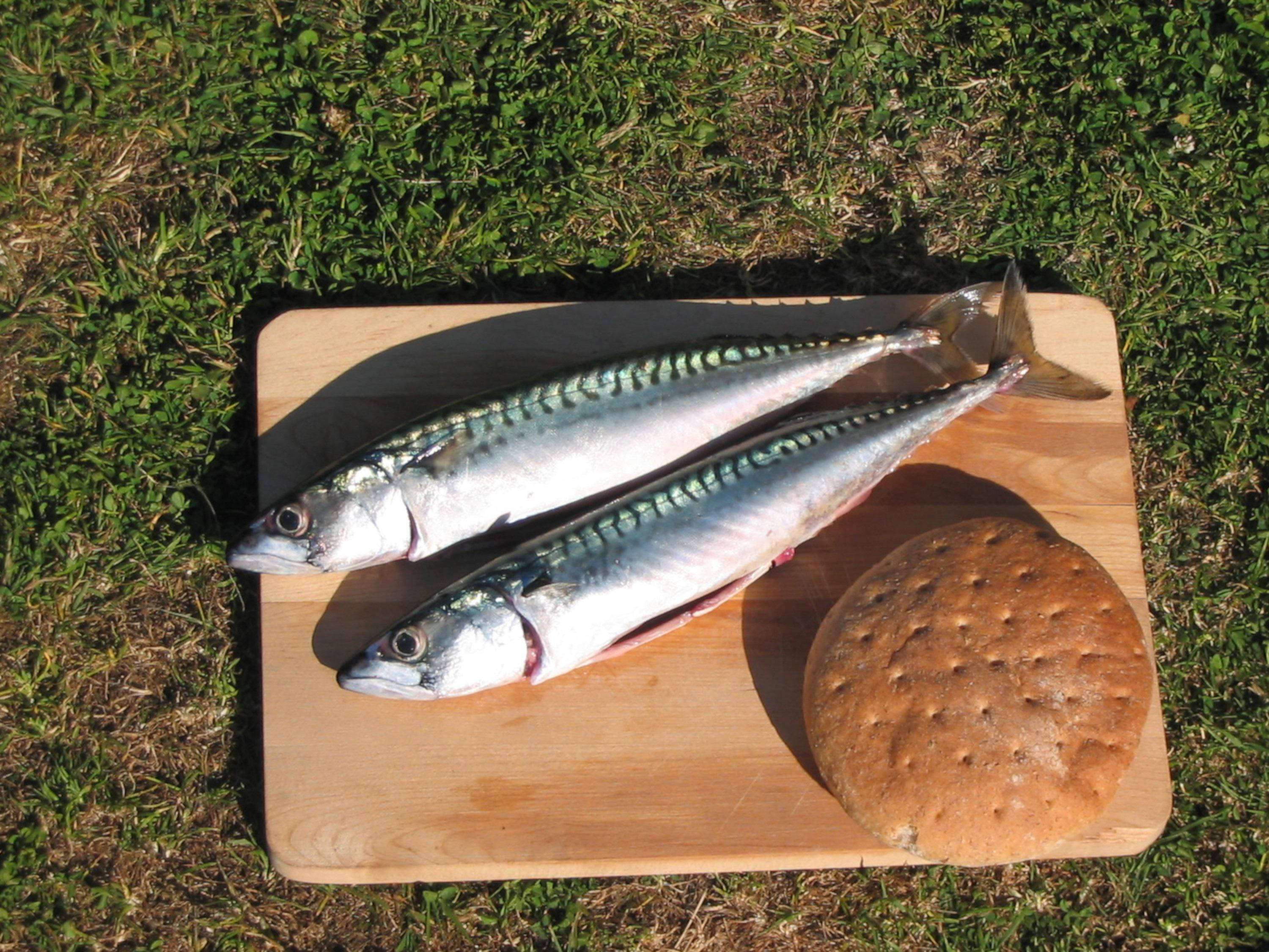 mackerel fish, round brown bread loaf, wooden cutting board, 2K Desktop Wallpaper