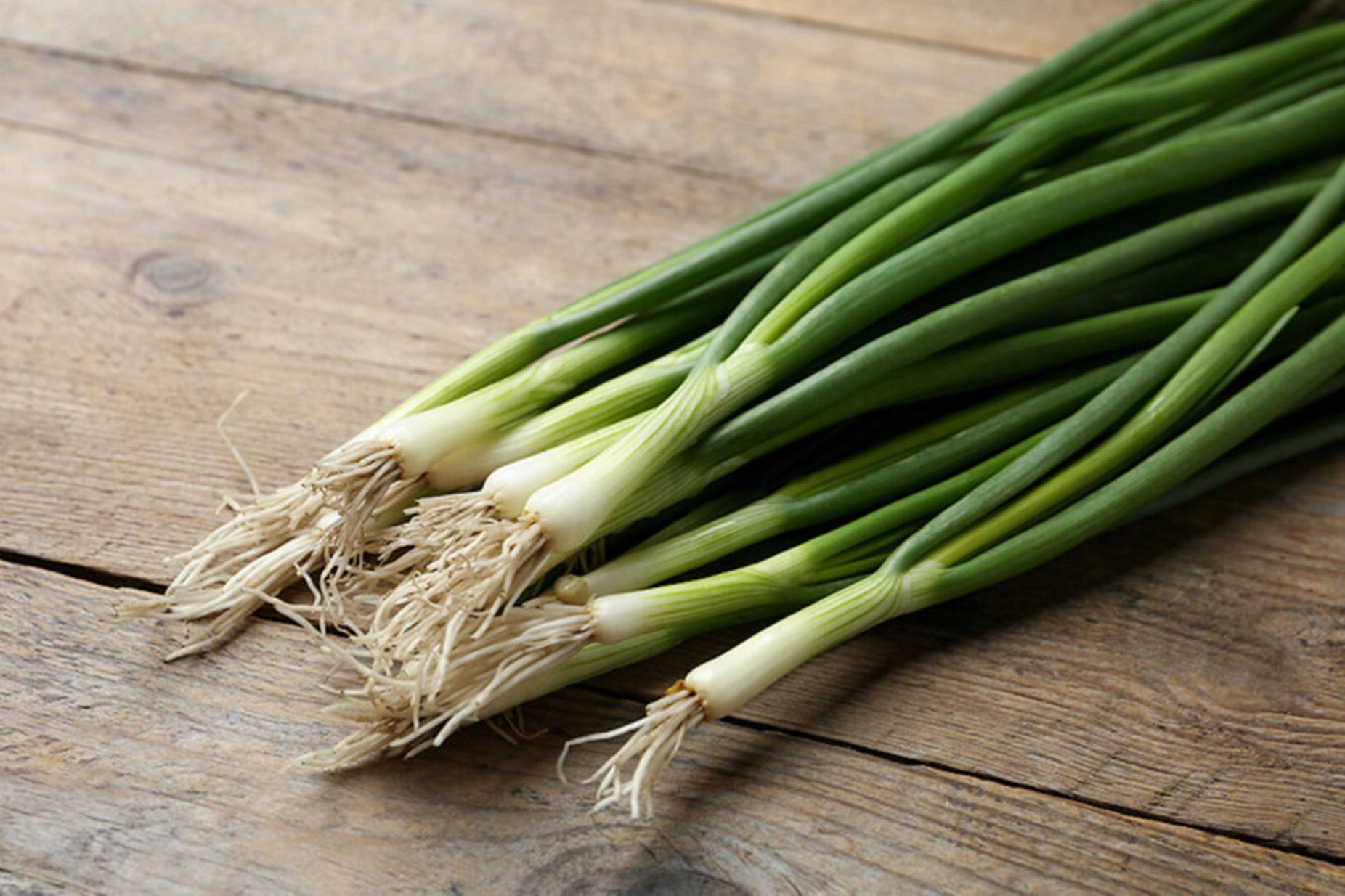 green onions, white roots, weathered wooden surface, HD Desktop Wallpaper