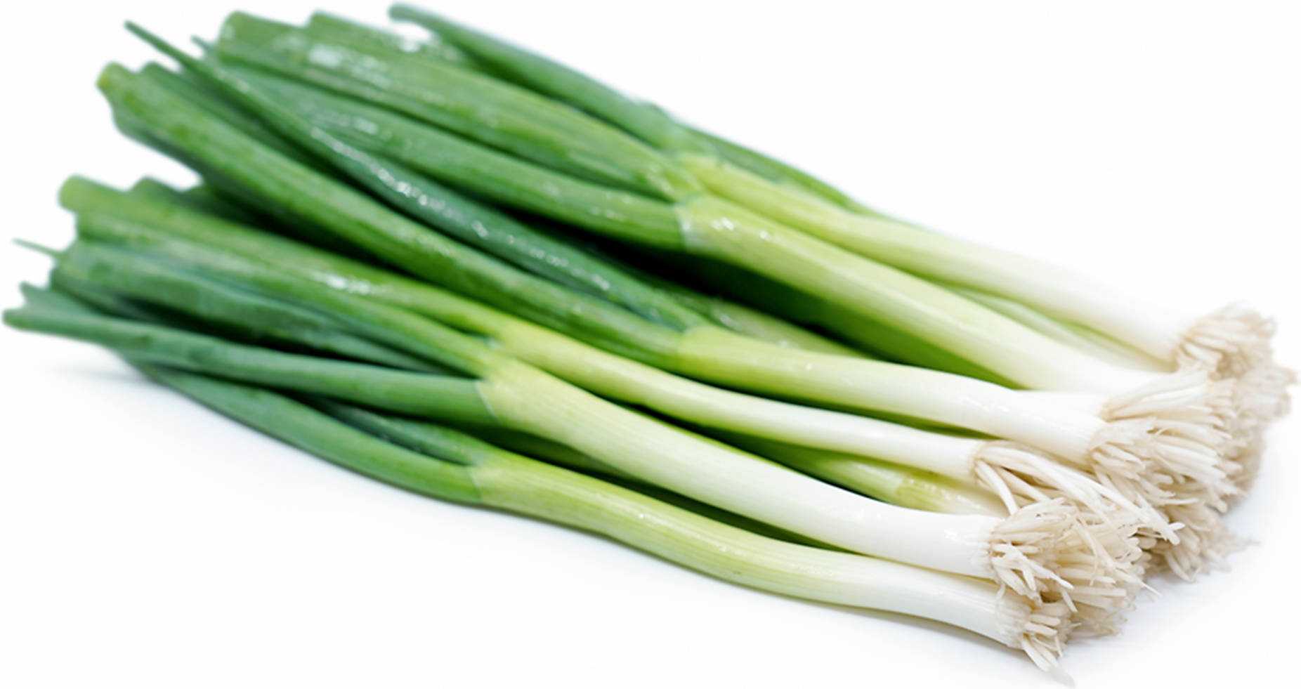 green onion, crisp white bulbs, vibrant green stalks, HD Desktop Wallpaper