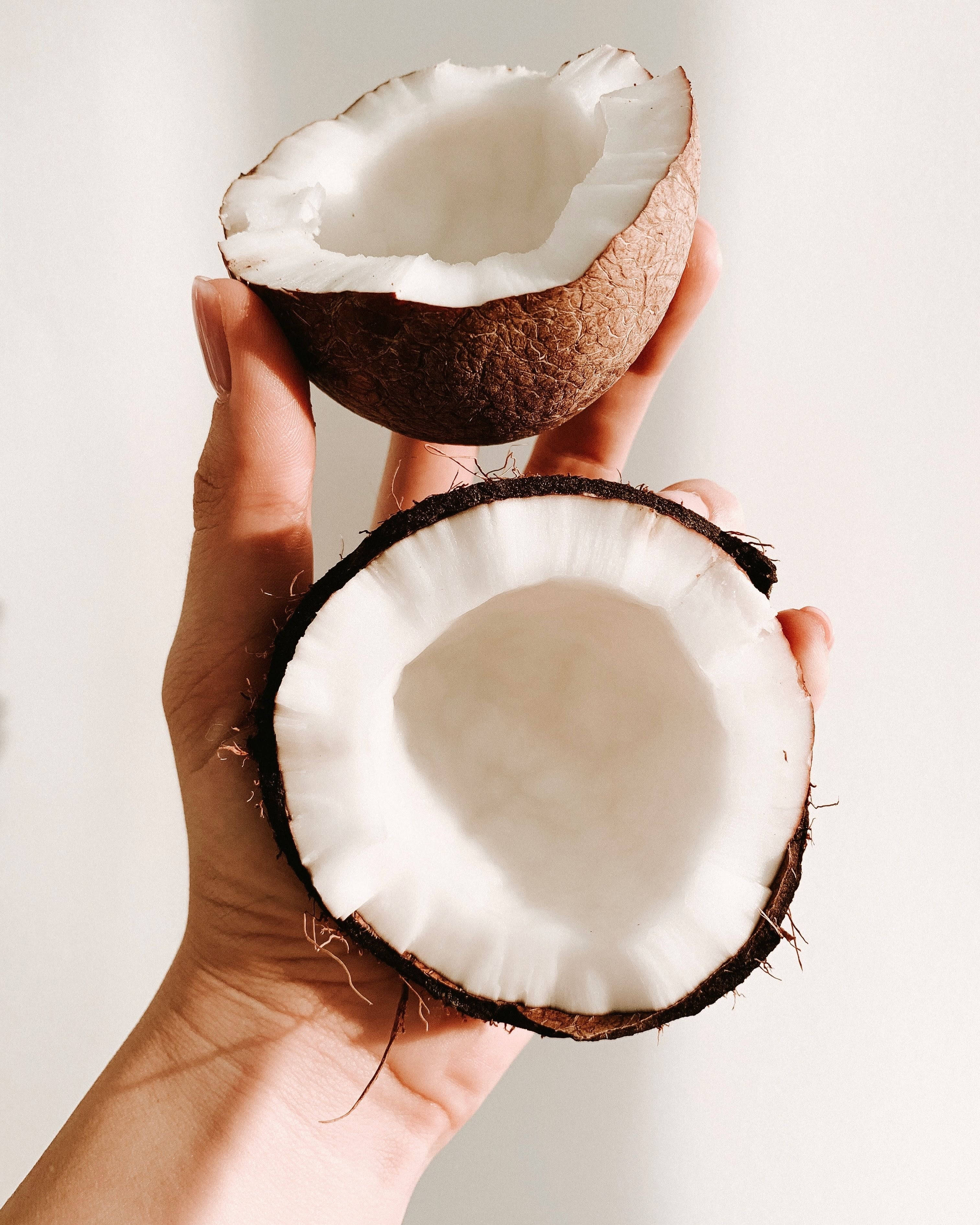fresh coconut slices, white flesh, soft white background, 2K Phone Wallpaper