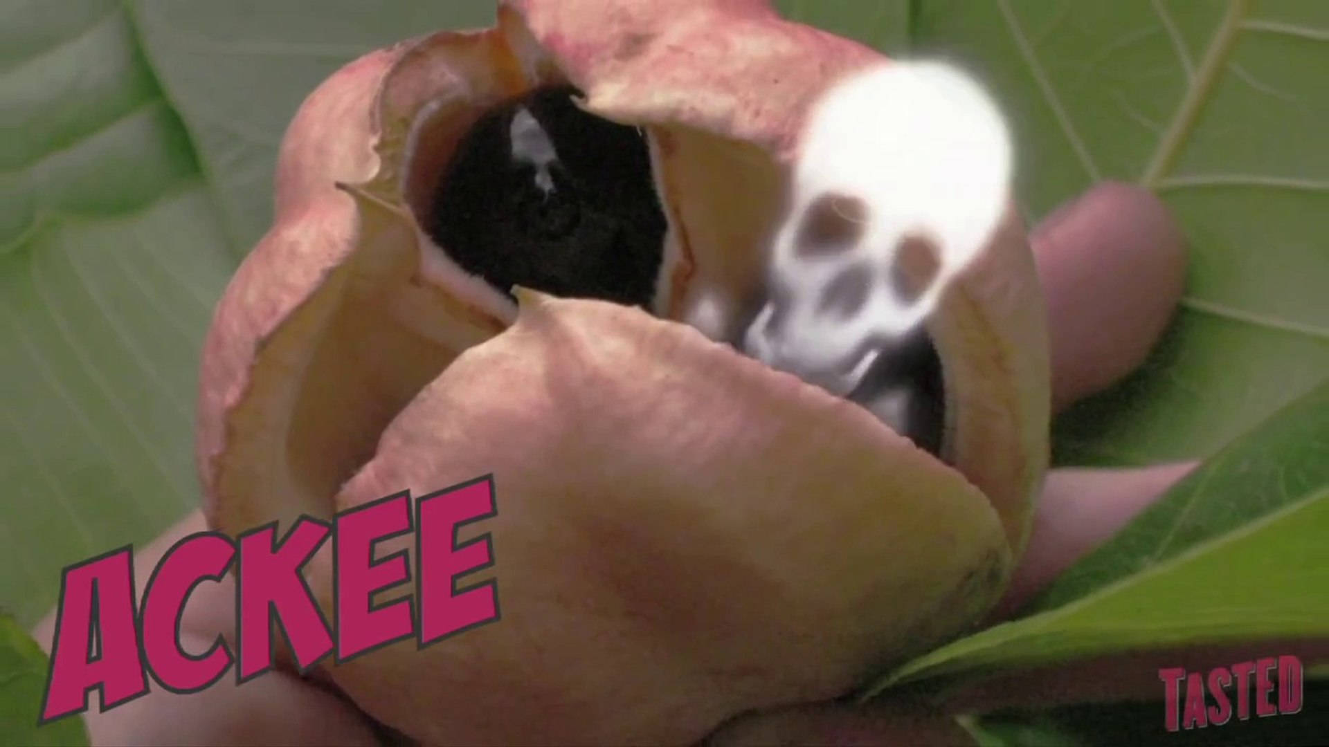 ackee fruit, black toxic arils, skull graphic overlay, Full HD Desktop Wallpaper