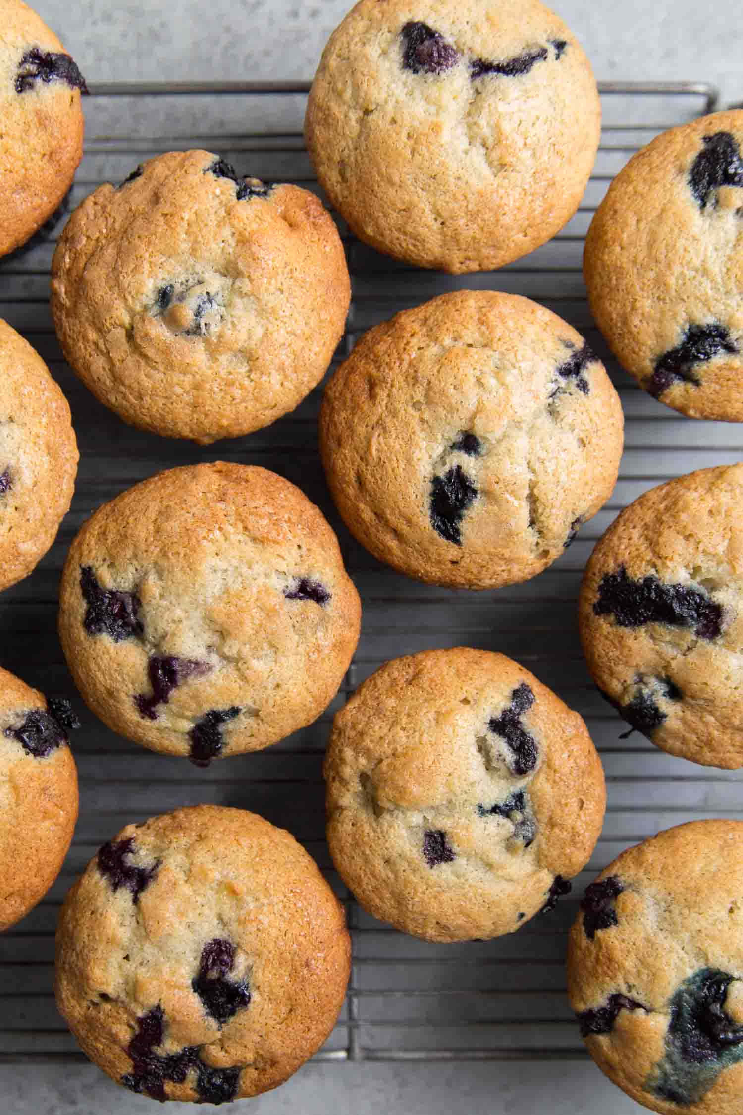 blueberry muffins, golden, wire rack, Full HD Phone Wallpaper