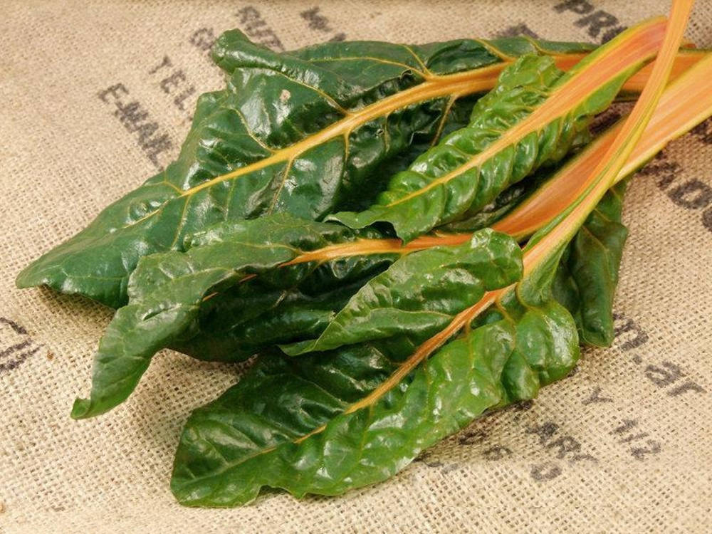 Fantasia Orange Swiss Chard, textured burlap sack, faded text, SD Desktop Wallpaper