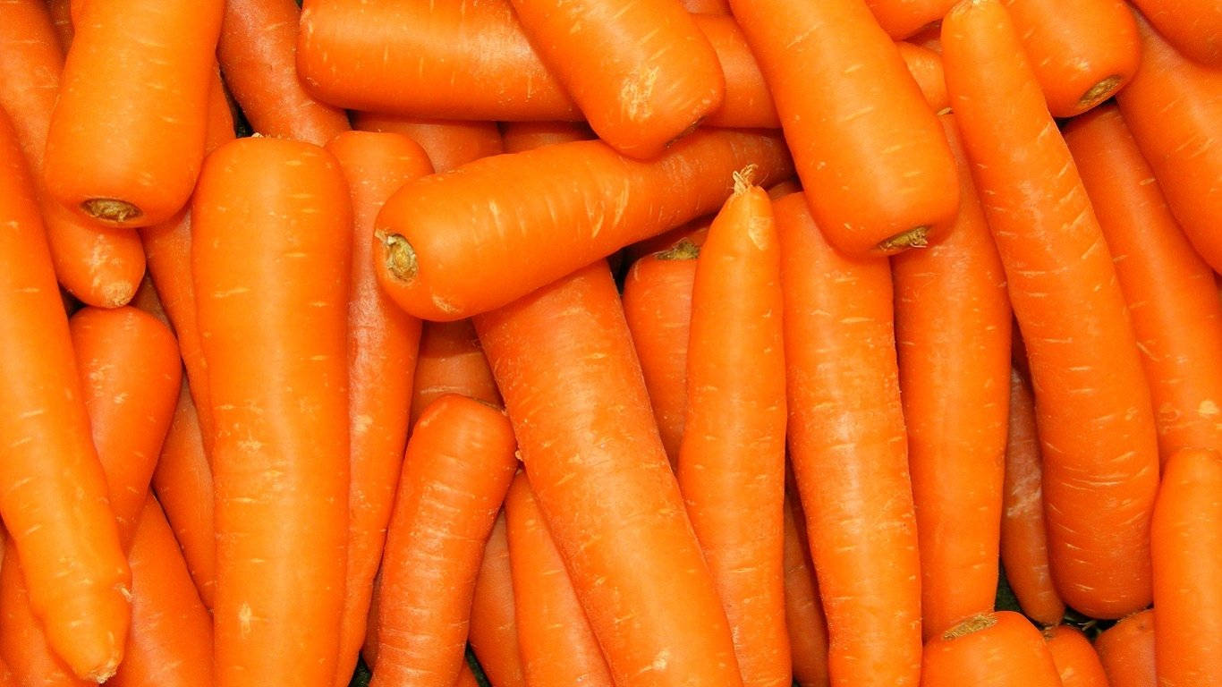 orange carrot, fresh orange carrots, green tops, HD Desktop Wallpaper