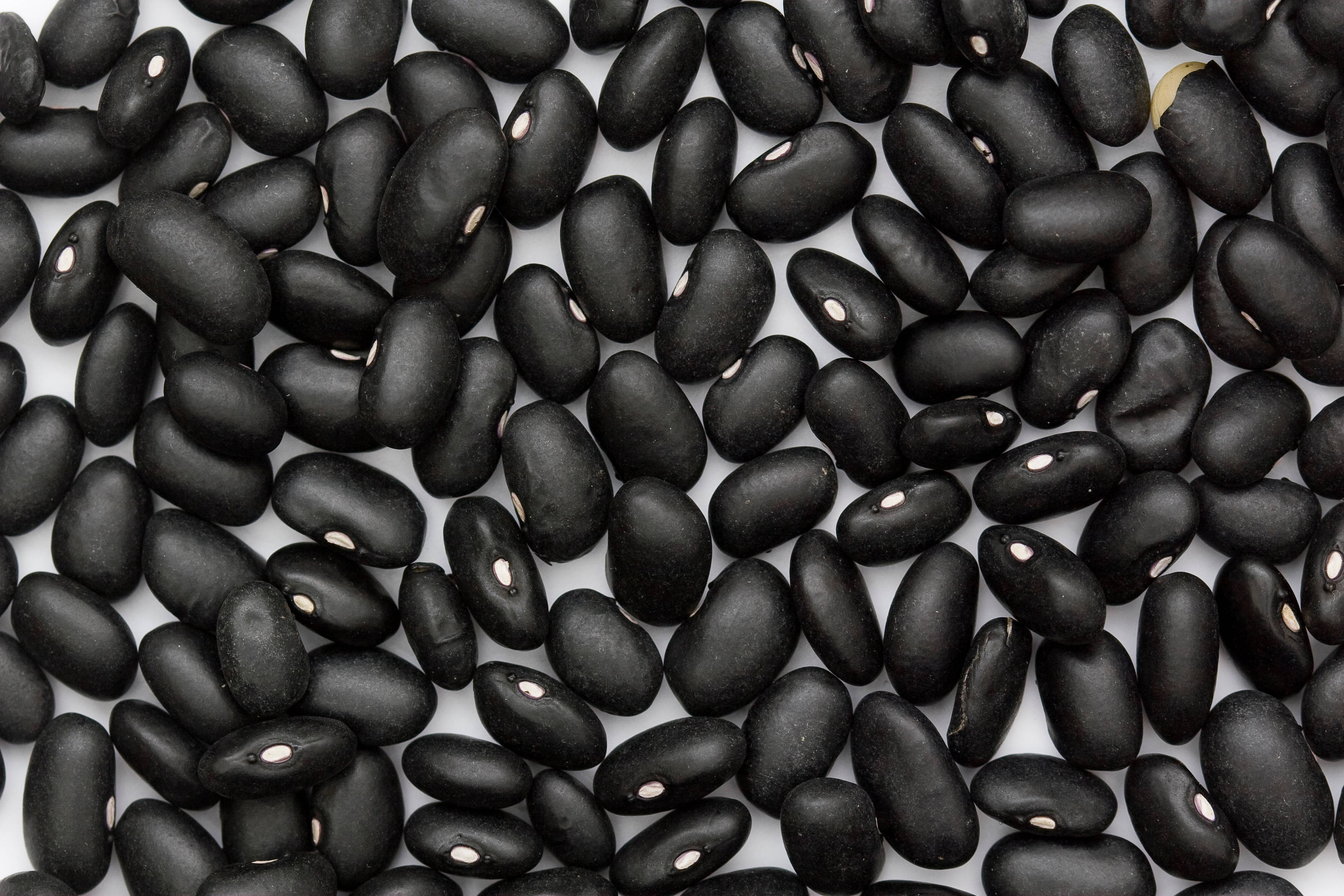 uncooked black beans, glossy black beans, white background, 2K Desktop Wallpaper