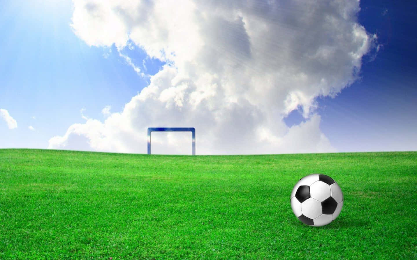 Football PC, black and white soccer ball, vibrant green grass, HD Desktop Wallpaper