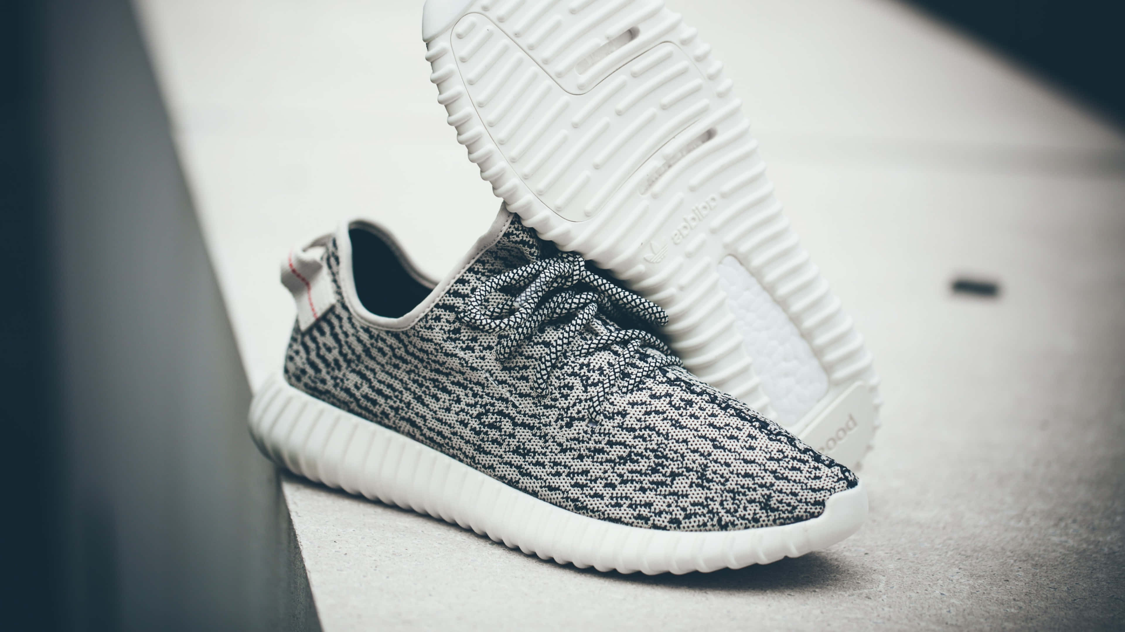 black and white knit sneaker, thick white sole, concrete ledge, 4K Desktop Wallpaper