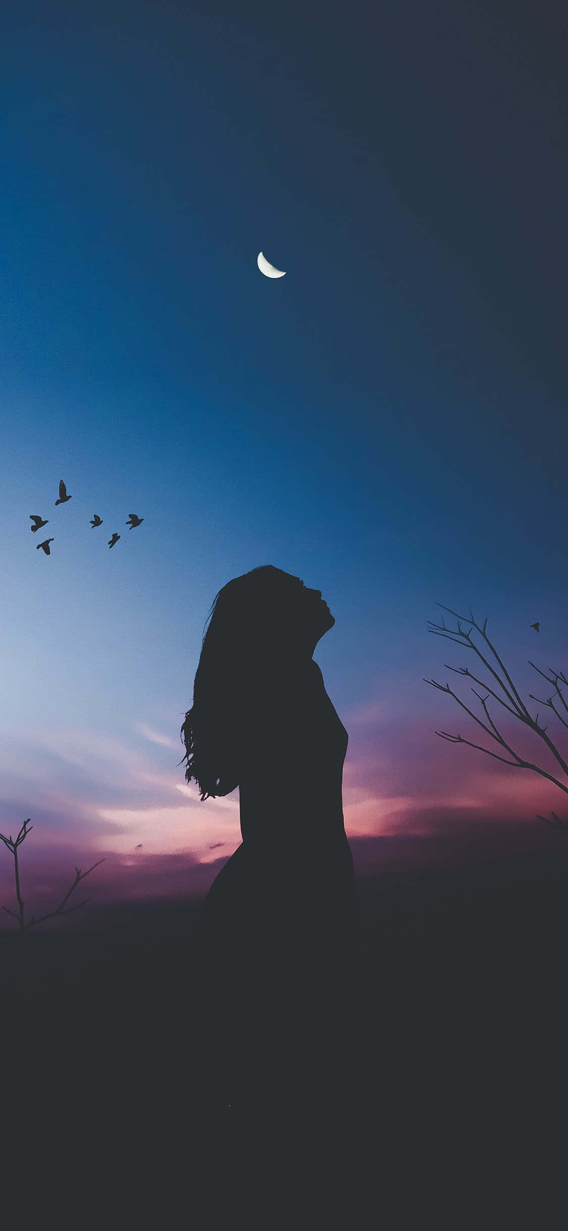 crescent moon, twilight sky, silhouette of a woman, Full HD Phone Wallpaper