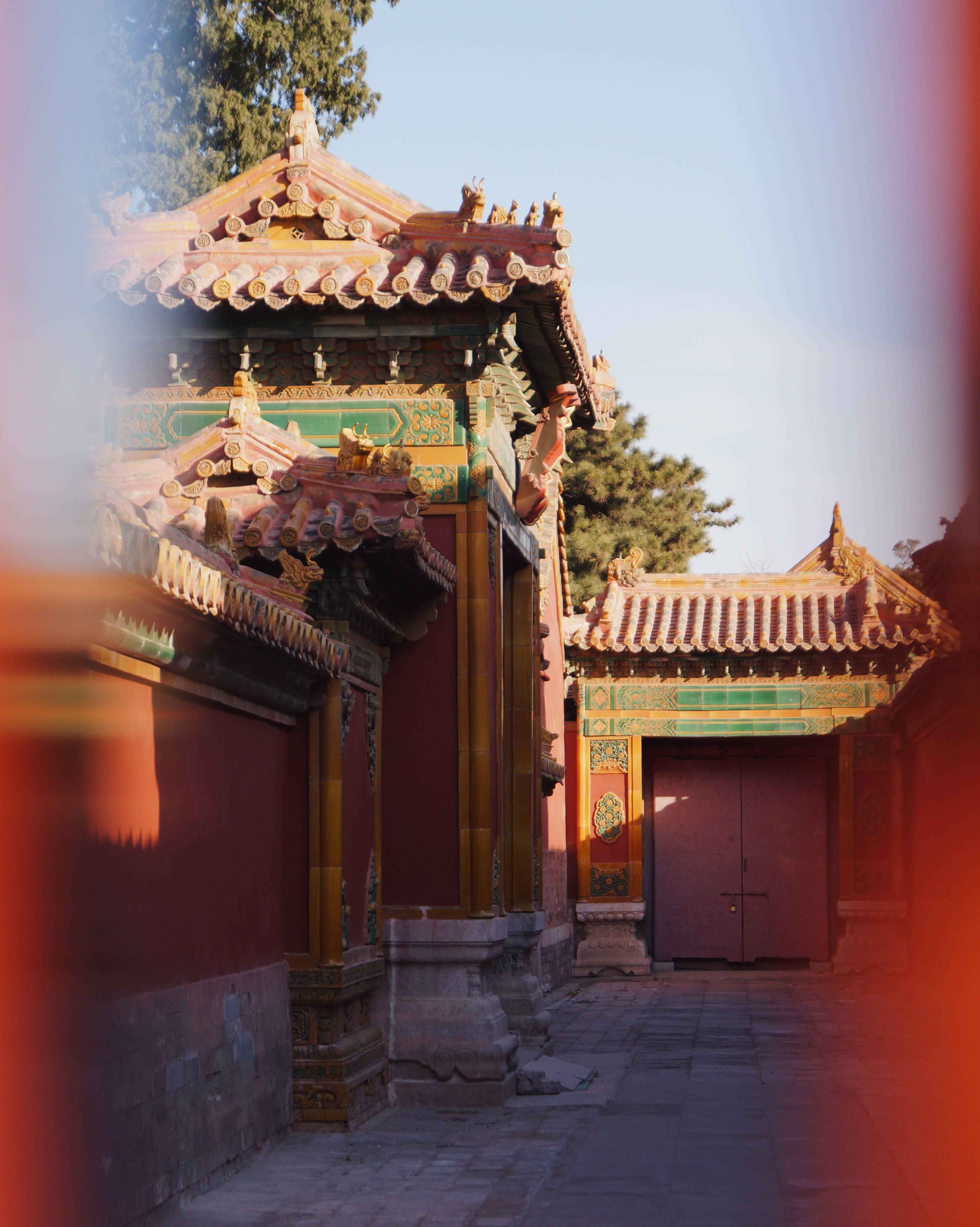 Forbidden City, red walls, golden roof tiles, 4K Phone Wallpaper