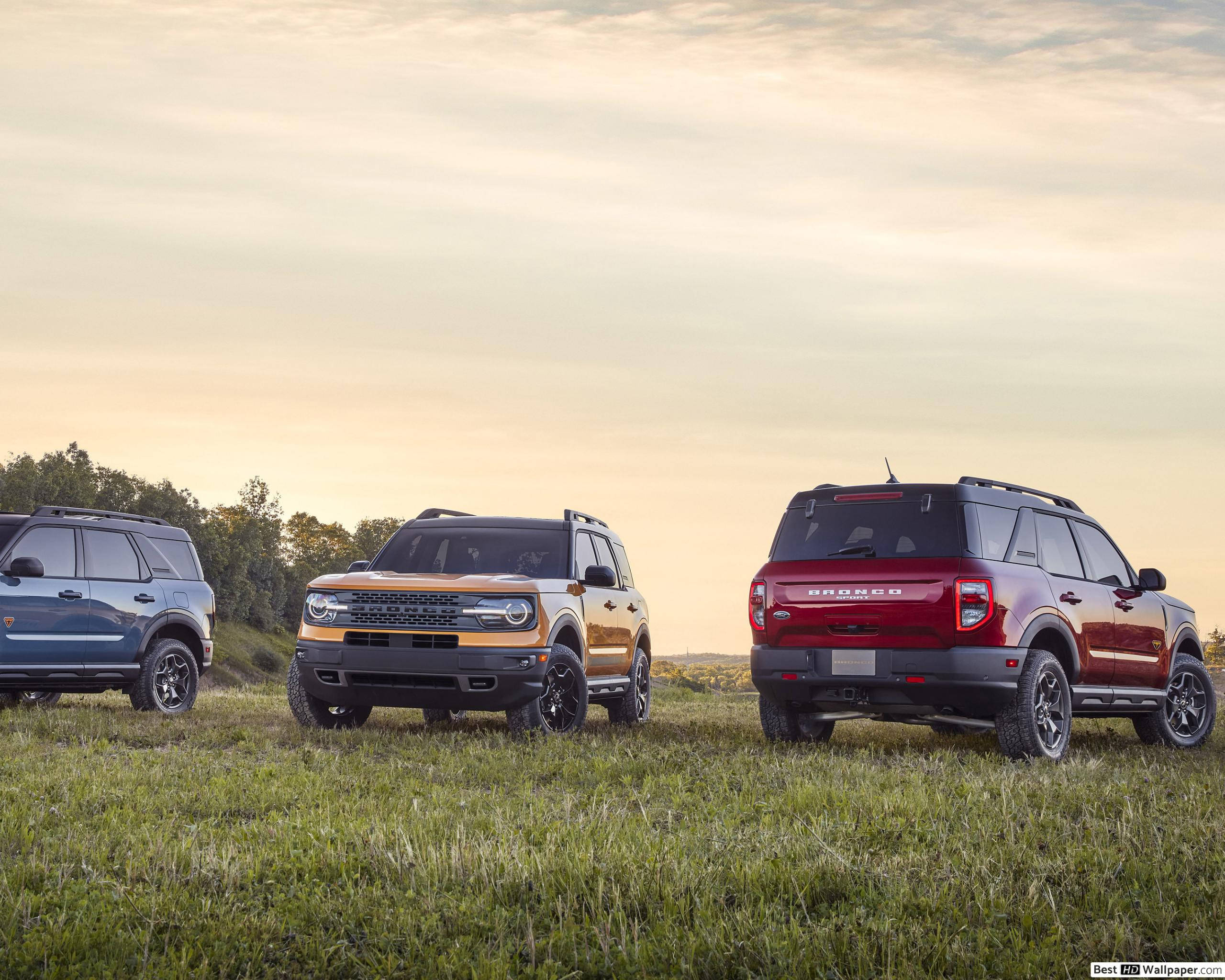 Ford Bronco, blue, gold, 2K Desktop Wallpaper