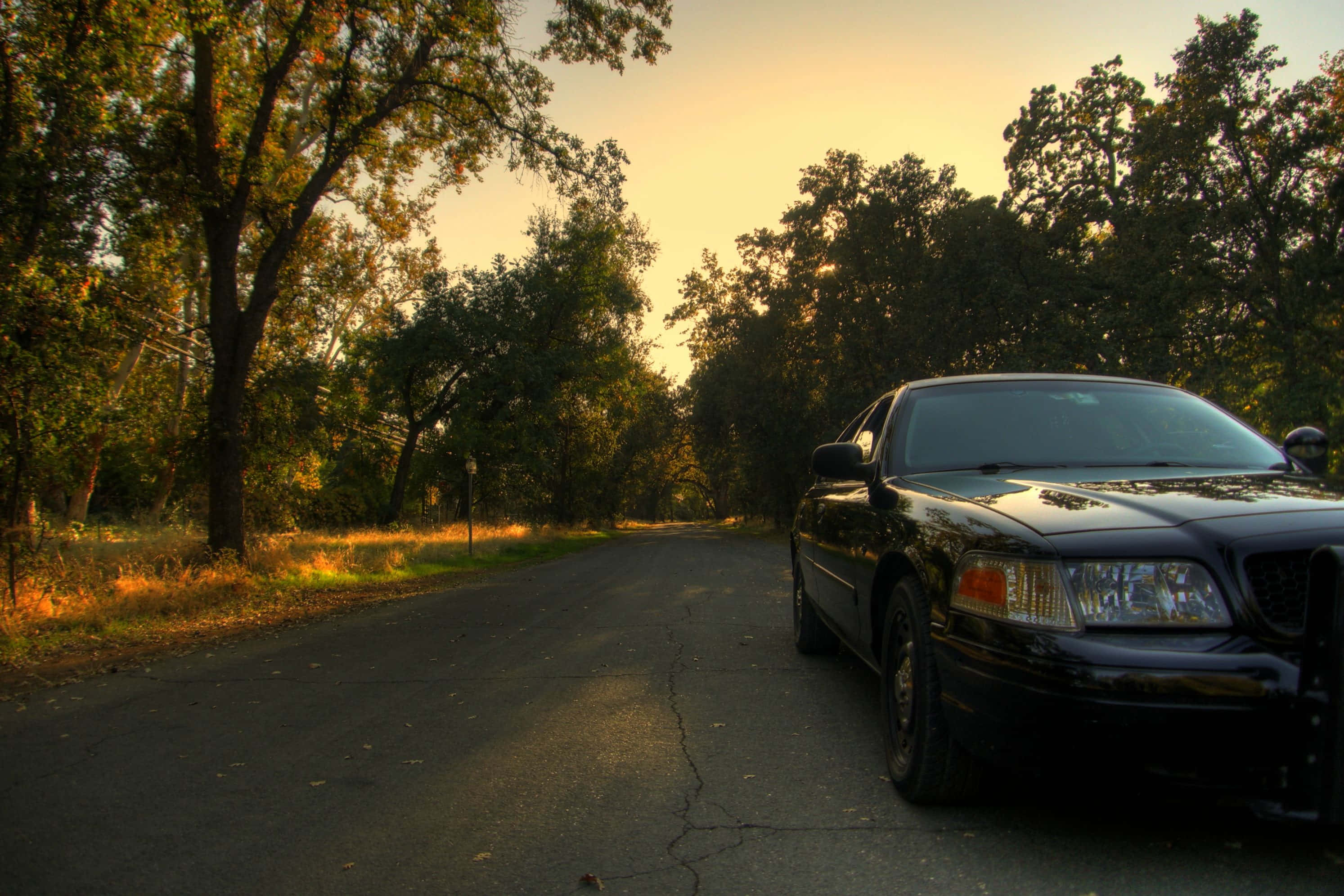 Ford Crown Victoria, black, police car, 2K Desktop Wallpaper