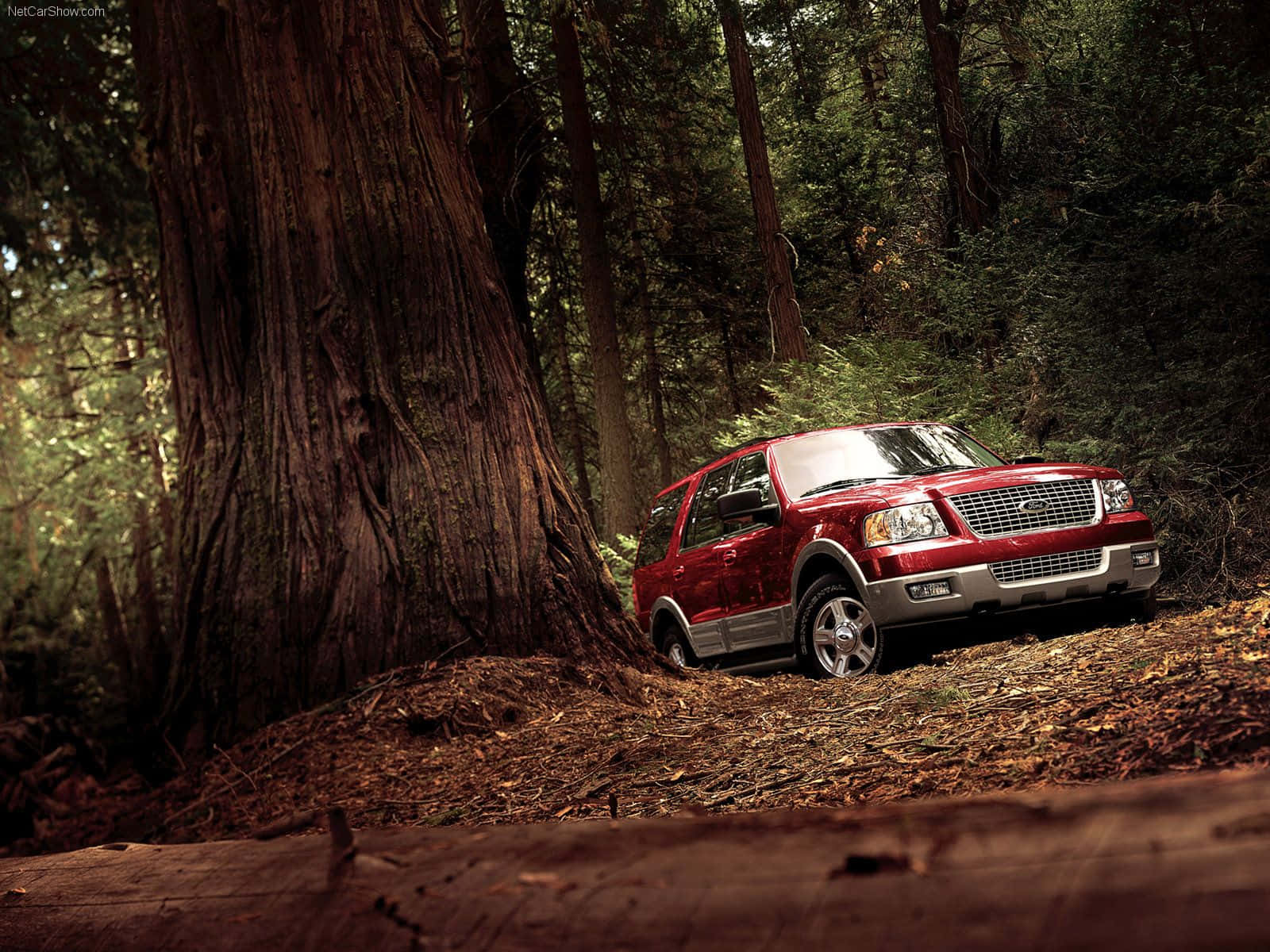Ford Expedition, glossy red, ancient tree, HD Desktop Wallpaper