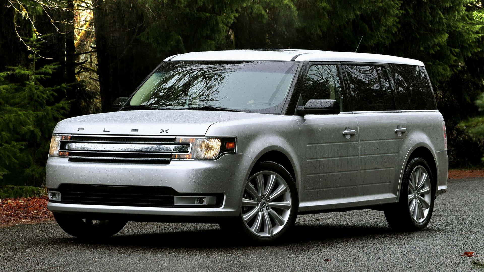 Ford Flex, silver, gravel road, Full HD Desktop Wallpaper