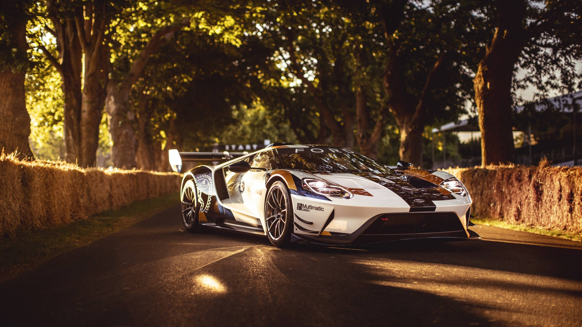 Ford GT, white, gold, Full HD Desktop Wallpaper