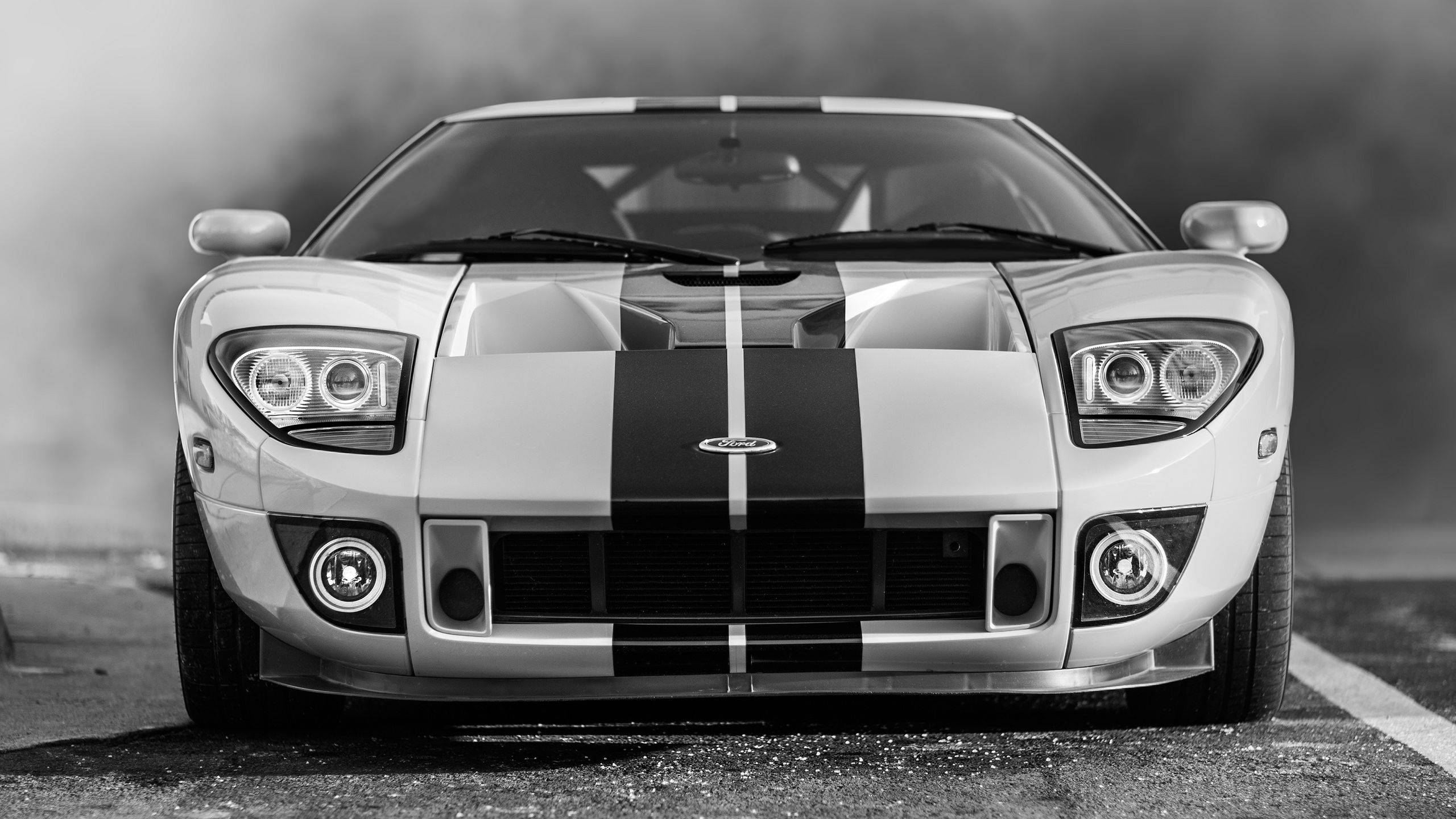 Ford GT, black and white, racing stripes, 2K Desktop Wallpaper