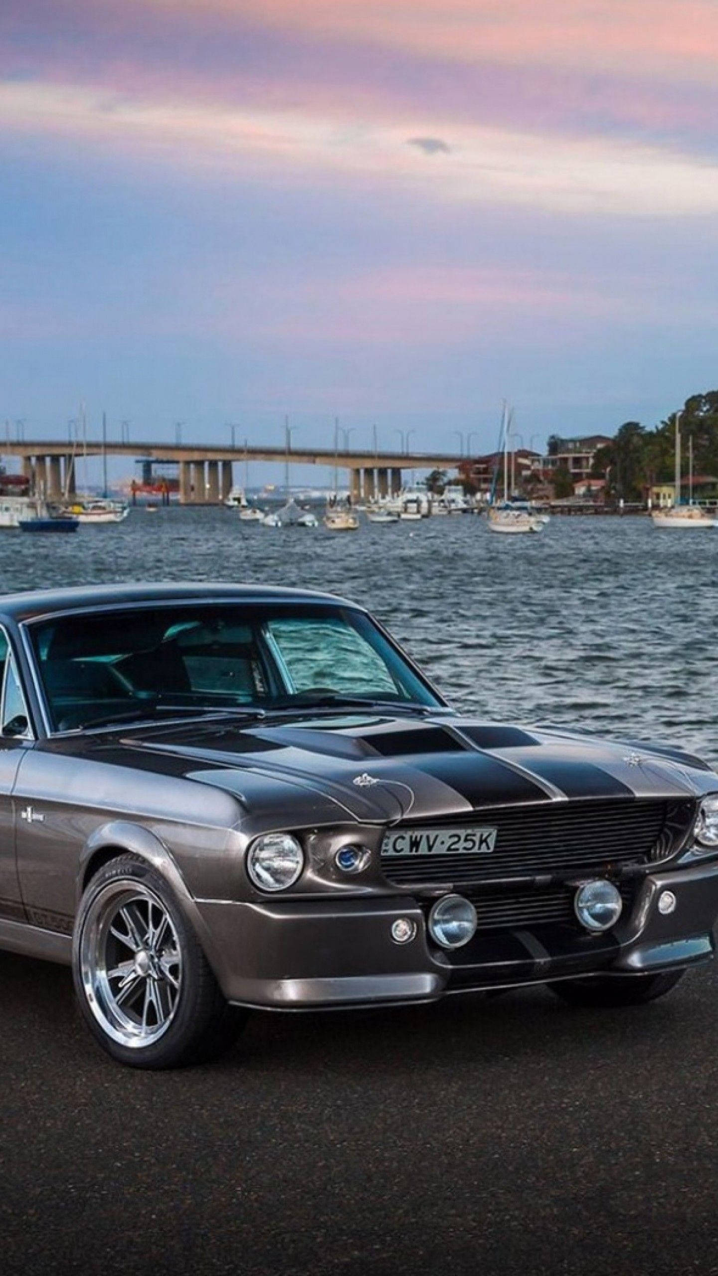 Ford iPhone, sleek silver classic muscle car, black racing stripes, 2K Phone Wallpaper