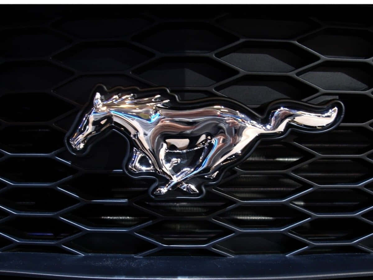 Ford Logo, chrome Mustang horse emblem, black hexagonal car grille, SD Desktop Wallpaper