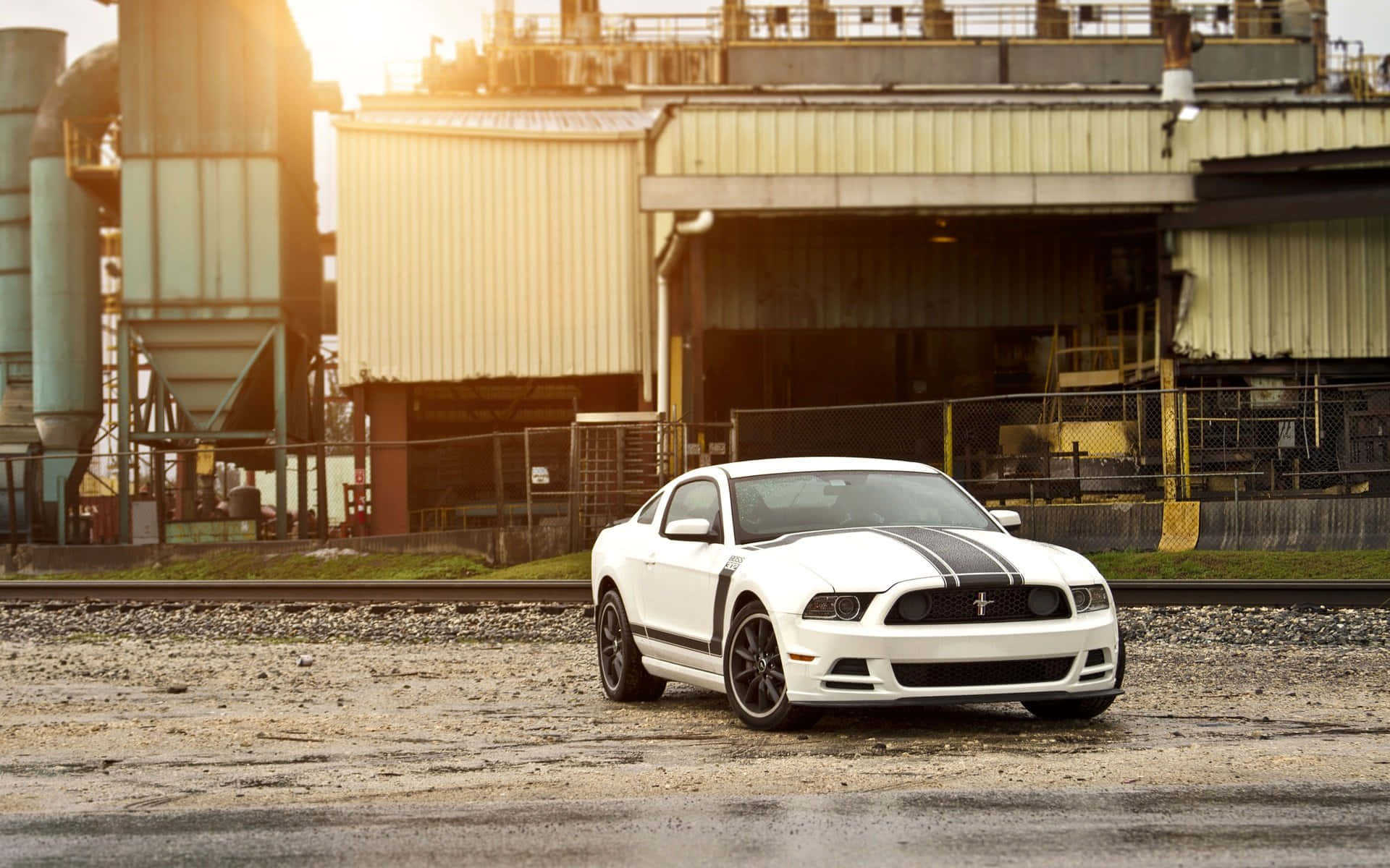 Ford Mustang Boss 302, white, black racing stripes, Full HD Desktop Wallpaper