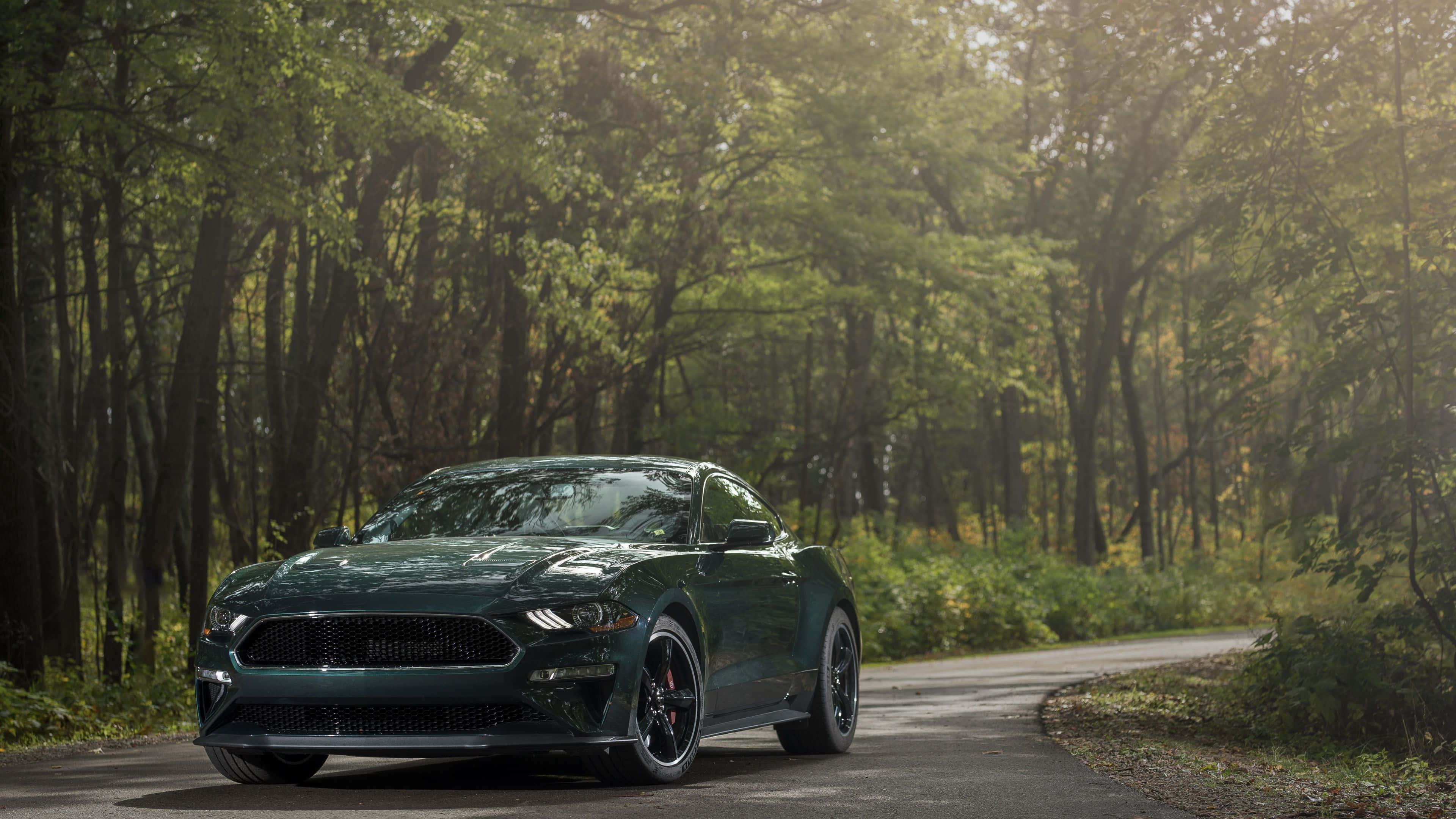 Ford Mustang Bullitt, dark green, winding forest road, 4K Desktop Wallpaper
