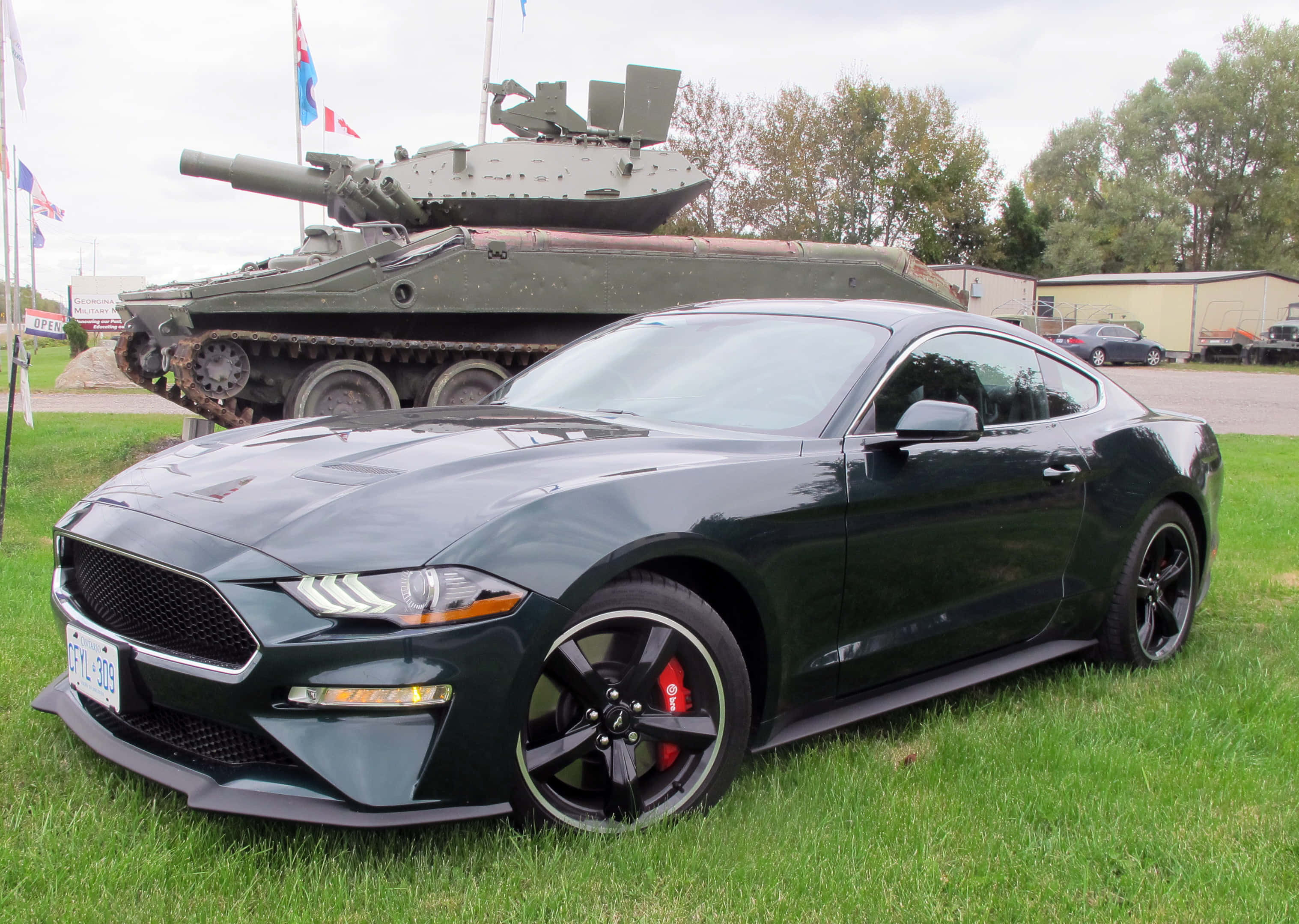 Ford Mustang Bullitt, black, grass, 2K Desktop Wallpaper