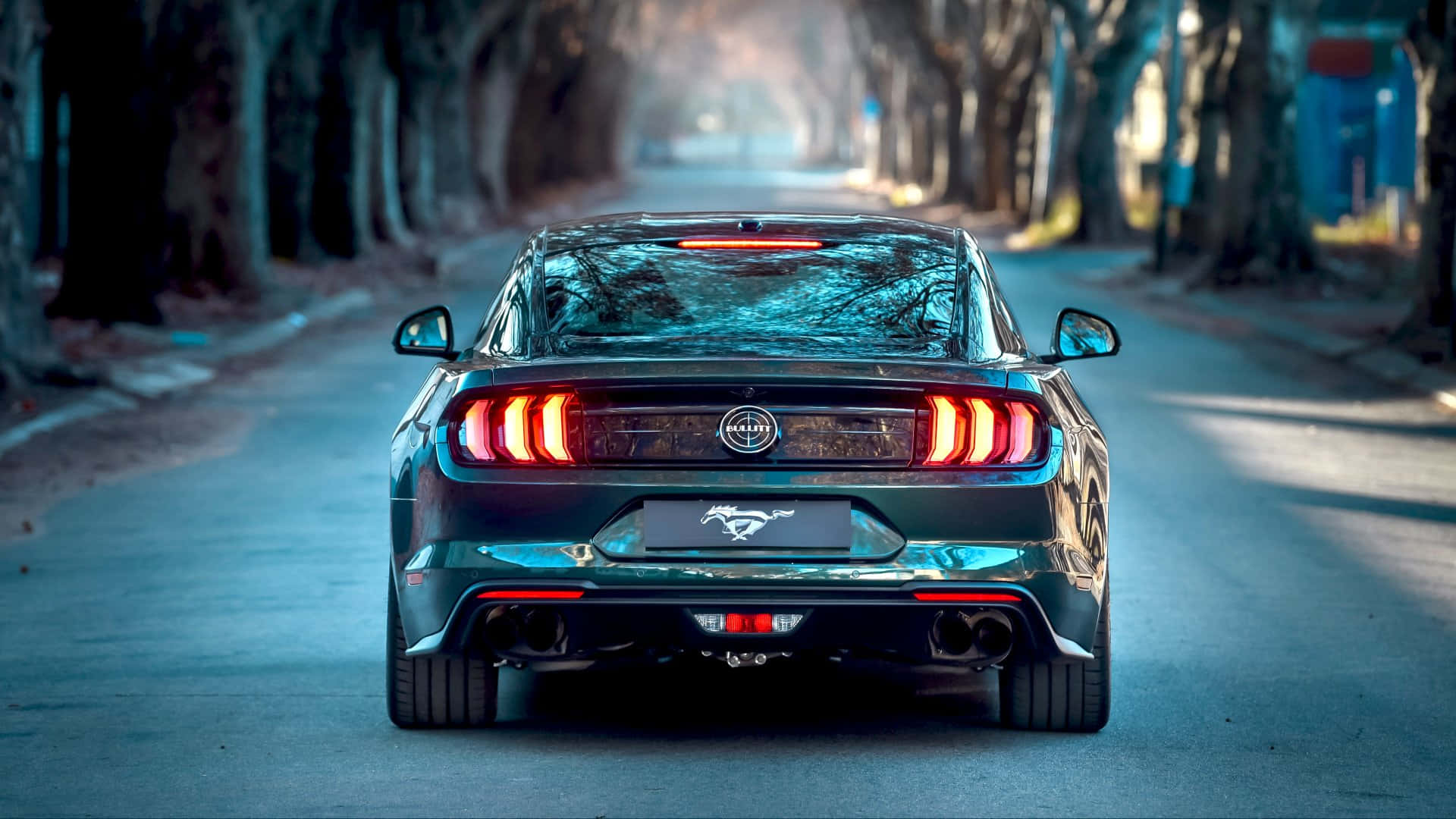 Ford Mustang Bullitt, black, tree-lined road, Full HD Desktop Wallpaper