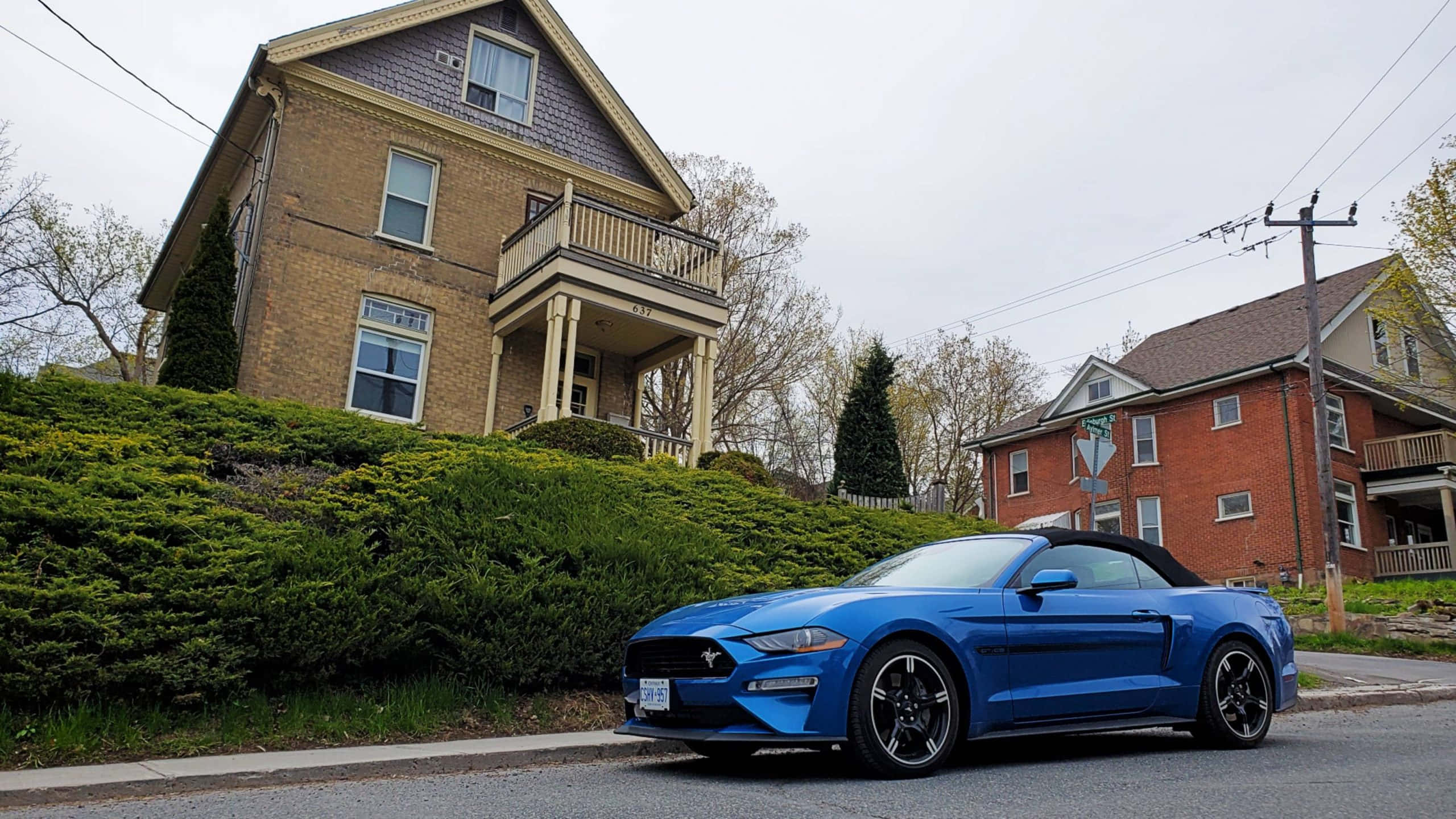 Ford Mustang California Special, vibrant blue, convertible, 2K Desktop Wallpaper