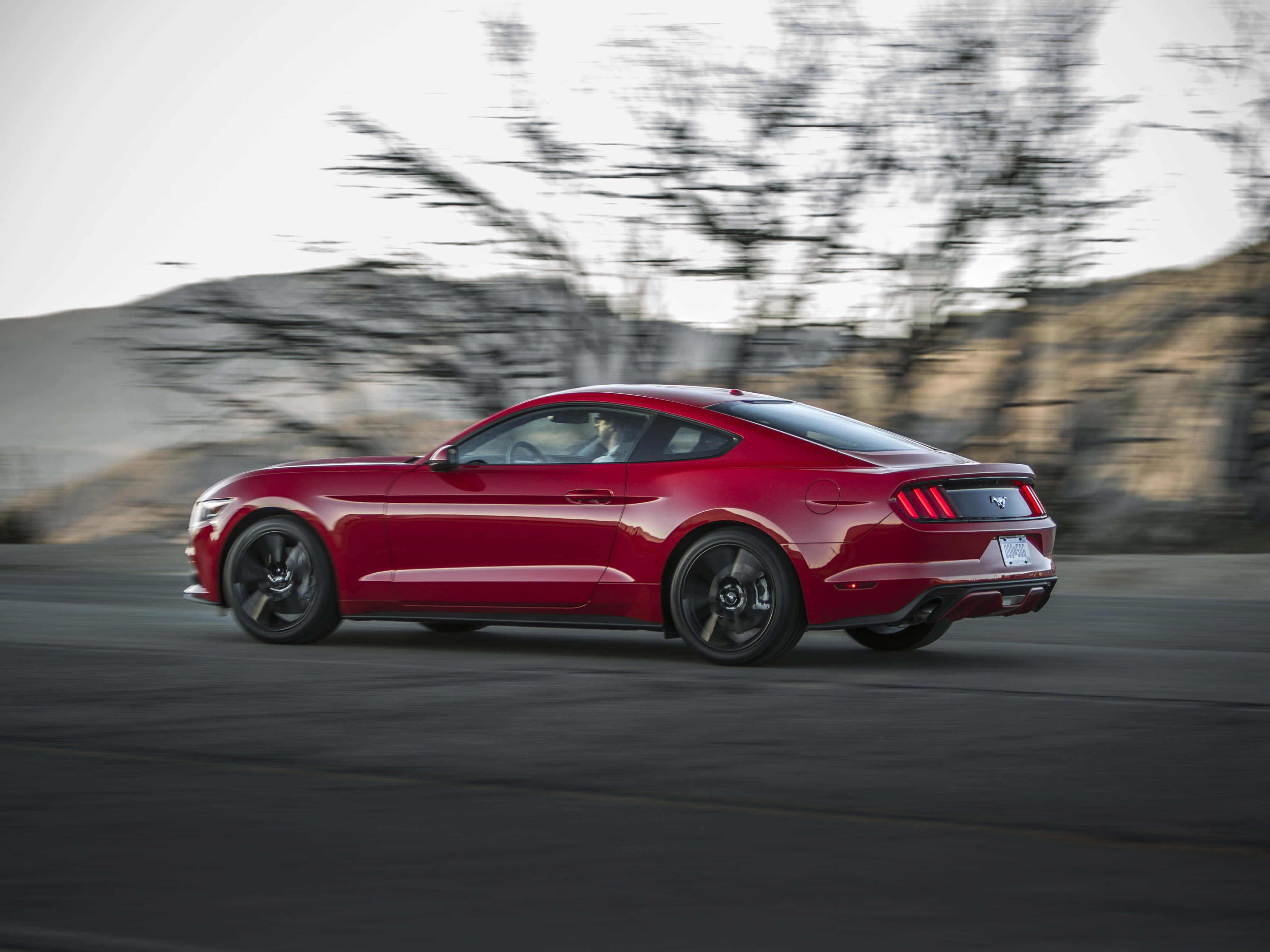 Ford Mustang Ecoboost, vibrant red, road, 4K Desktop Wallpaper
