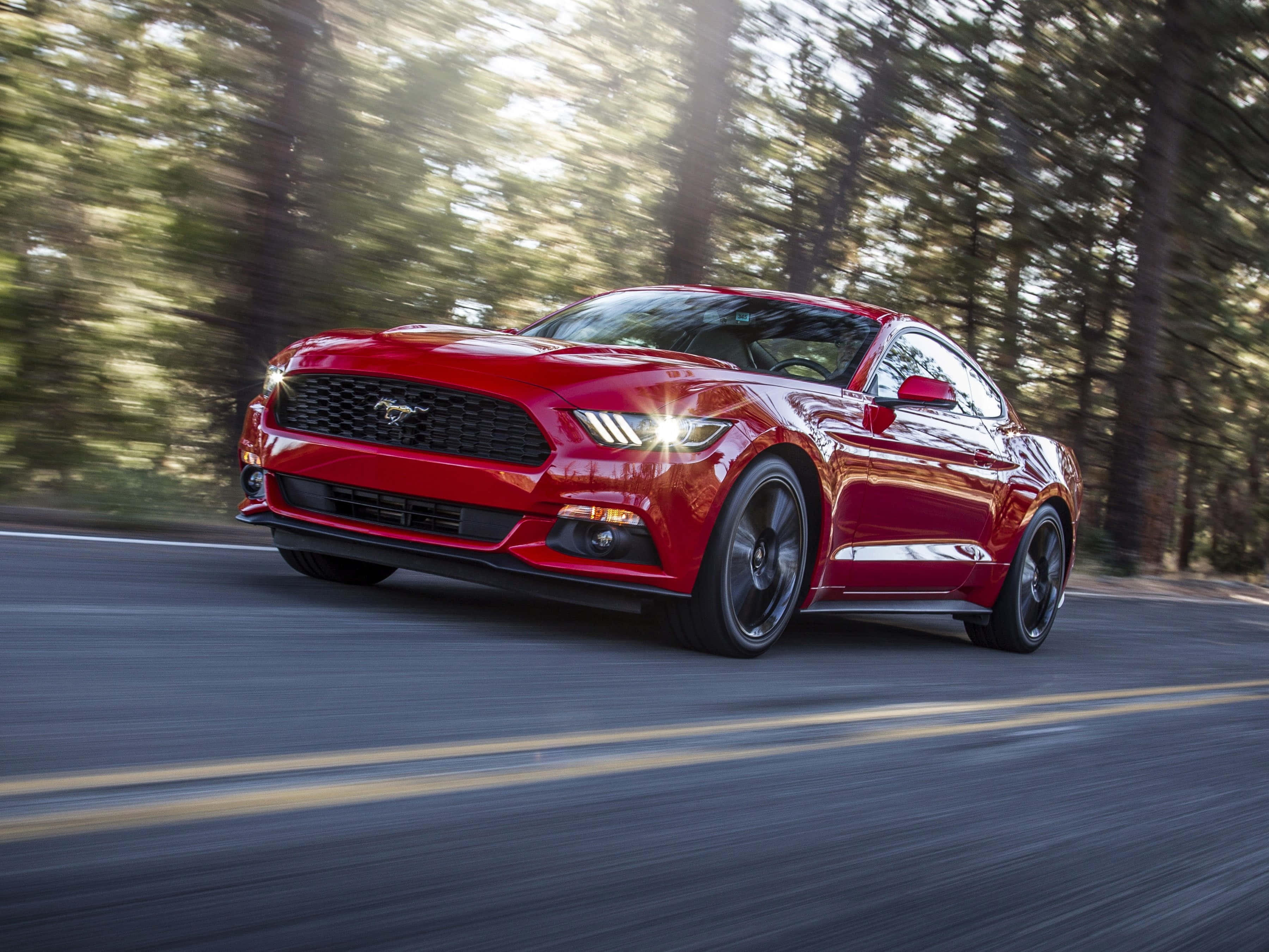Ford Mustang Ecoboost, vibrant red, forest-lined road, 2K Desktop Wallpaper