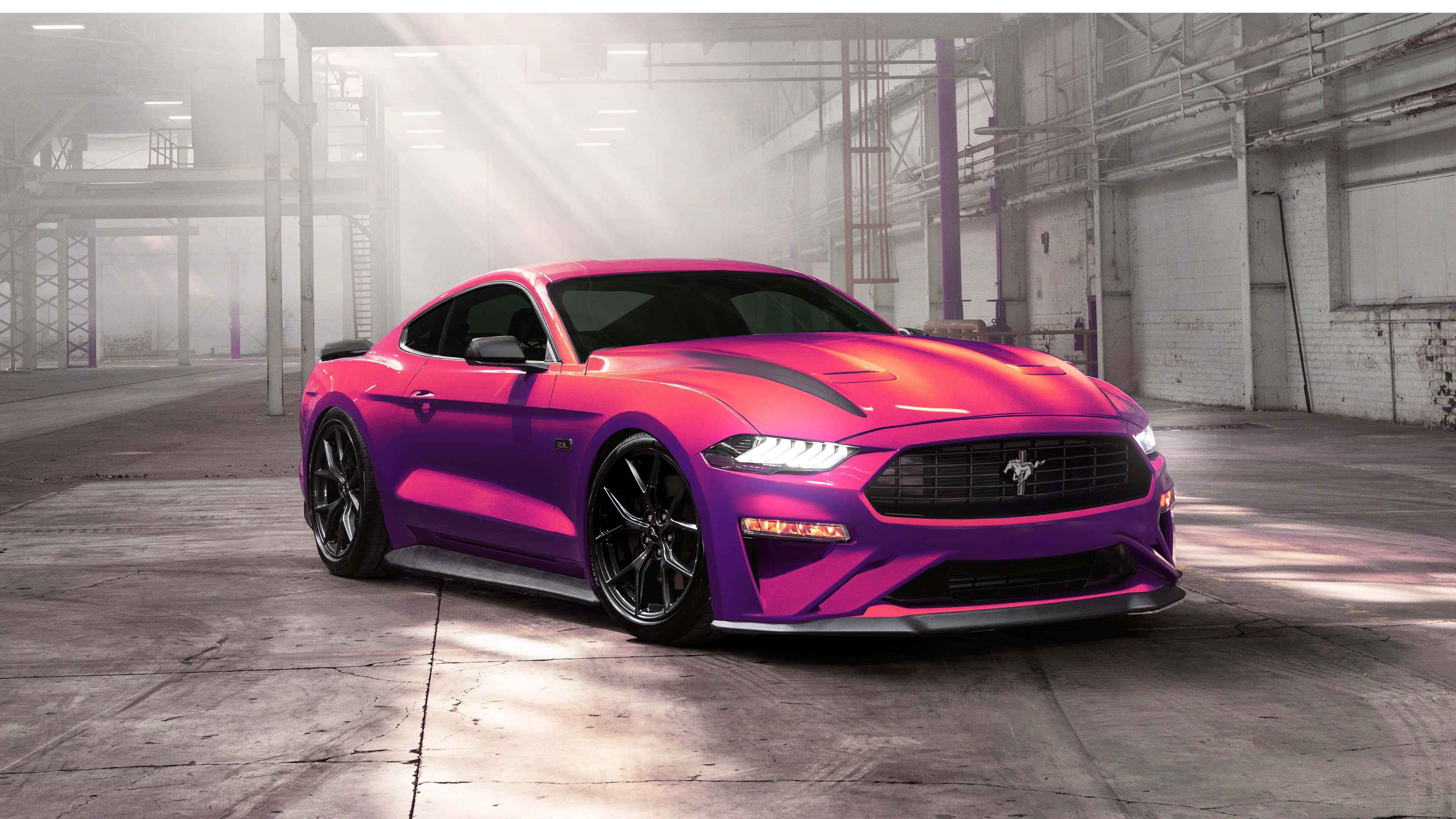 Ford Mustang Ecoboost, magenta, purple, 4K Desktop Wallpaper