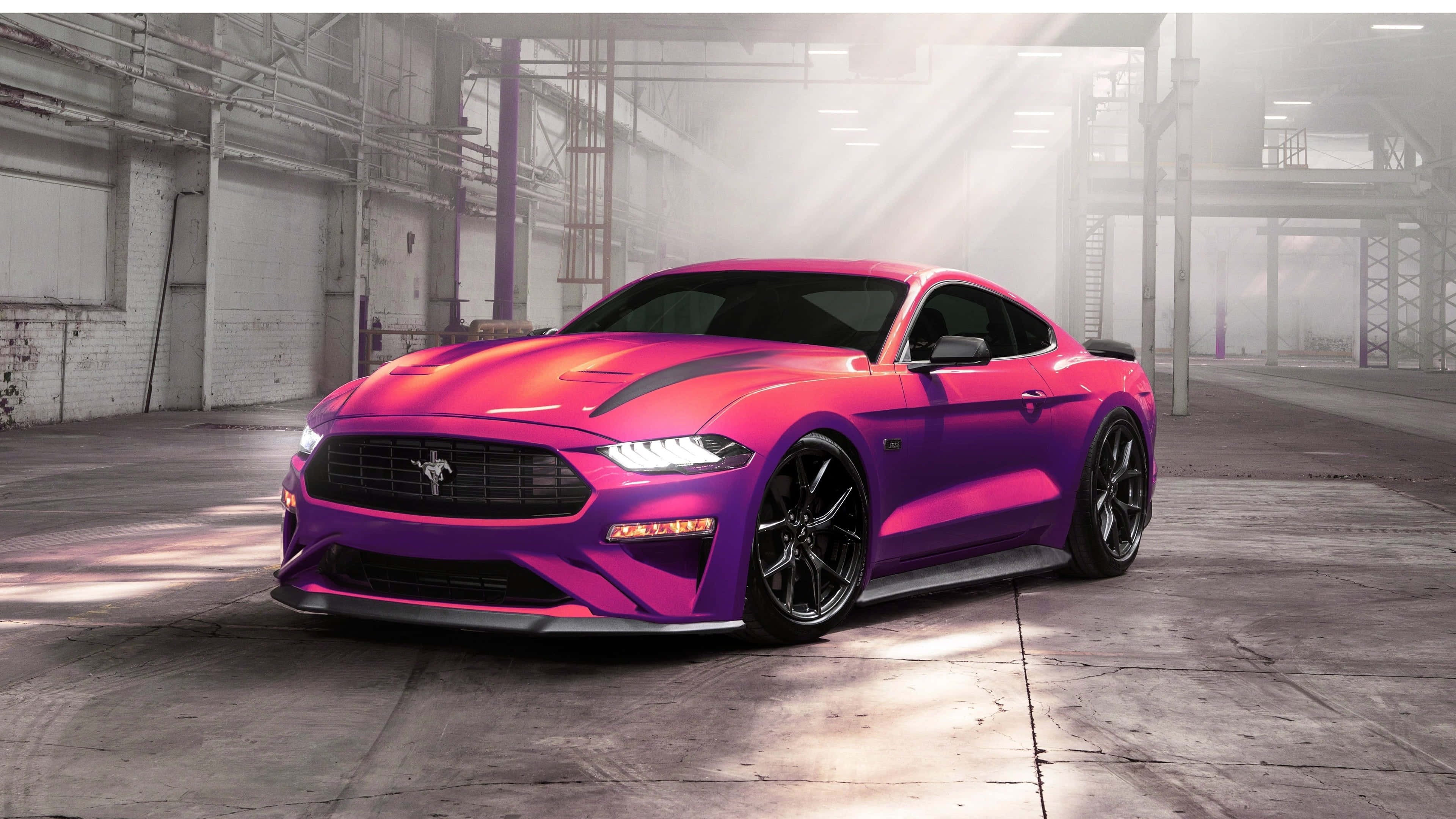 Ford Mustang Ecoboost, vibrant gradient purple and pink, dramatic sunlight beams, 4K Desktop Wallpaper