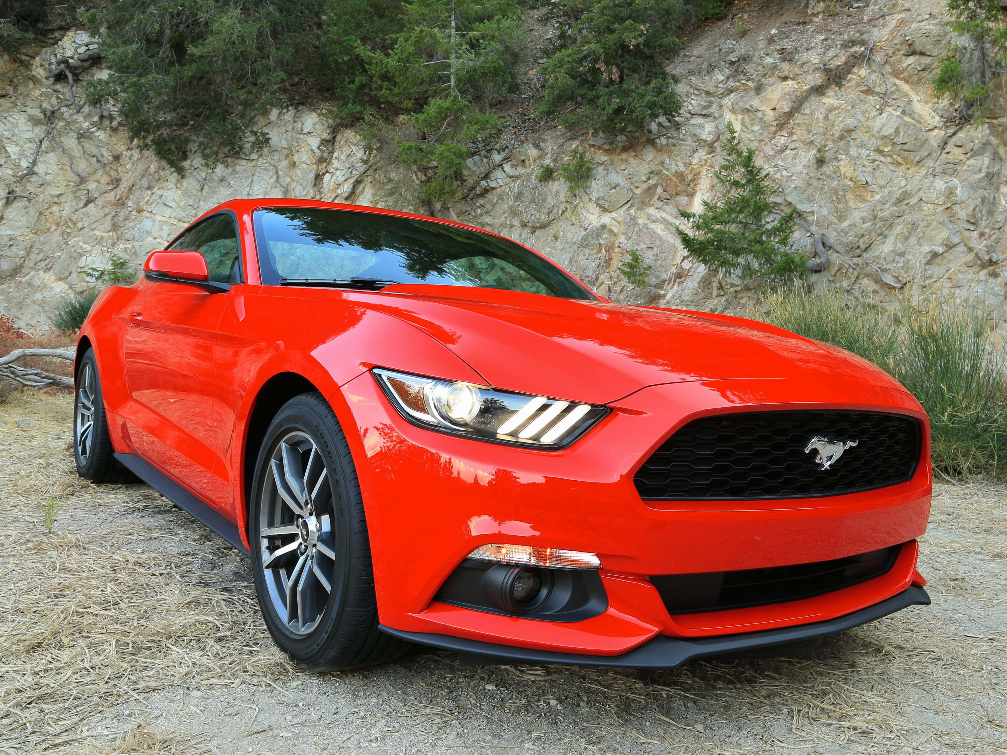 Ford Mustang Ecoboost, vibrant red, dry grass, 2K Desktop Wallpaper
