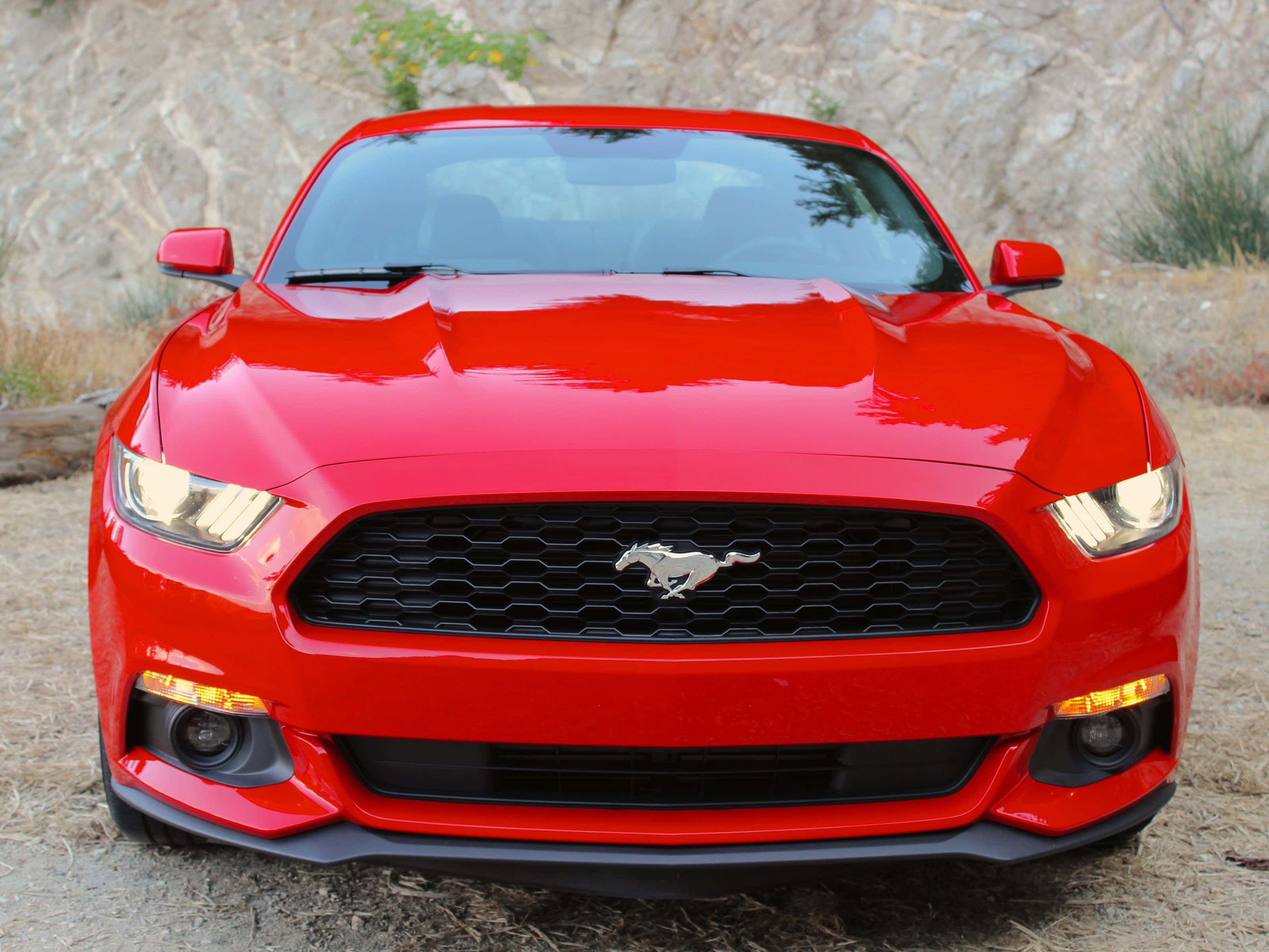 Ford Mustang EcoBoost, vibrant red, bright daylight, 2K Desktop Wallpaper