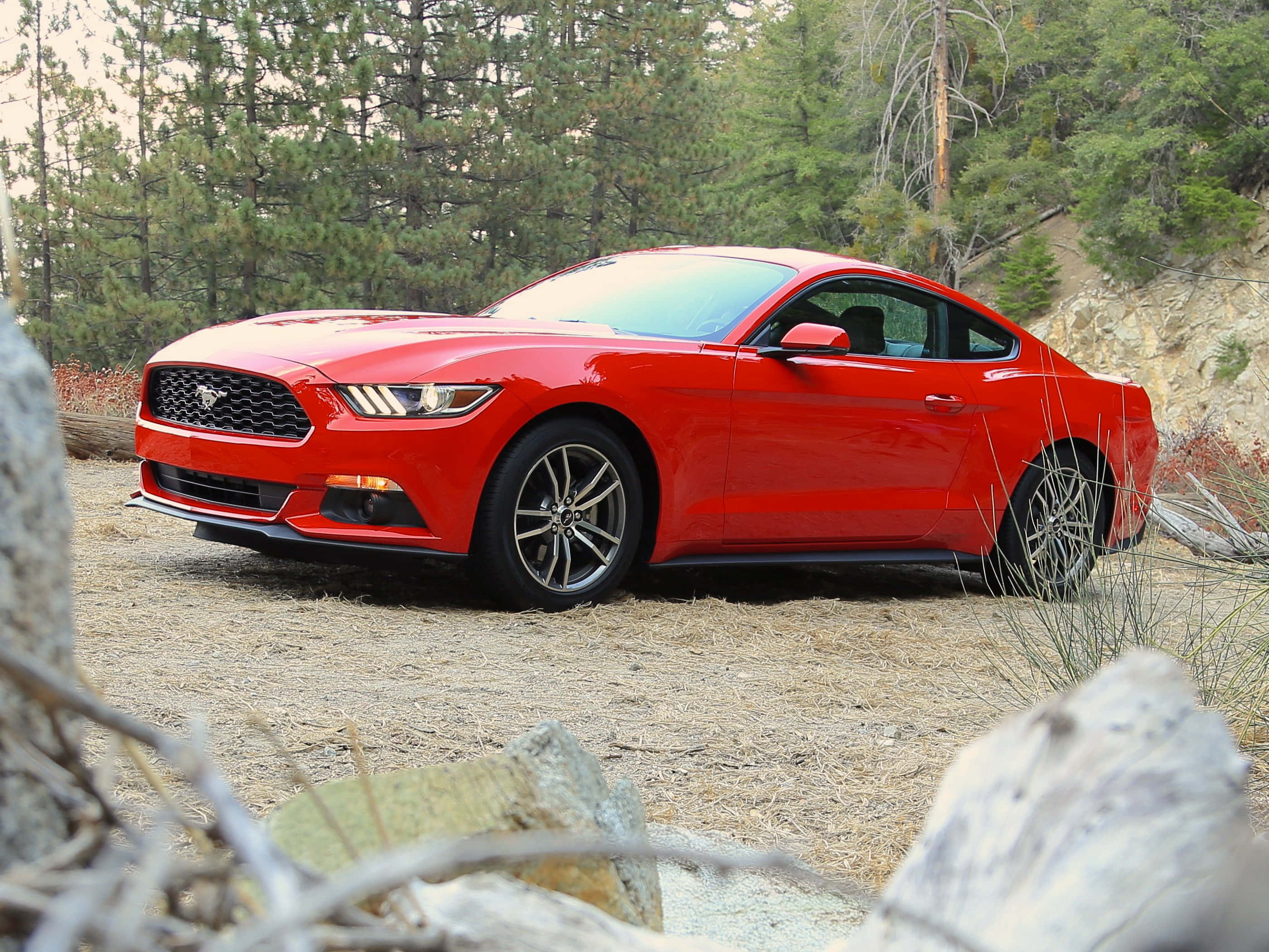 Ford Mustang Ecoboost, vibrant red, dirt path, 2K Desktop Wallpaper