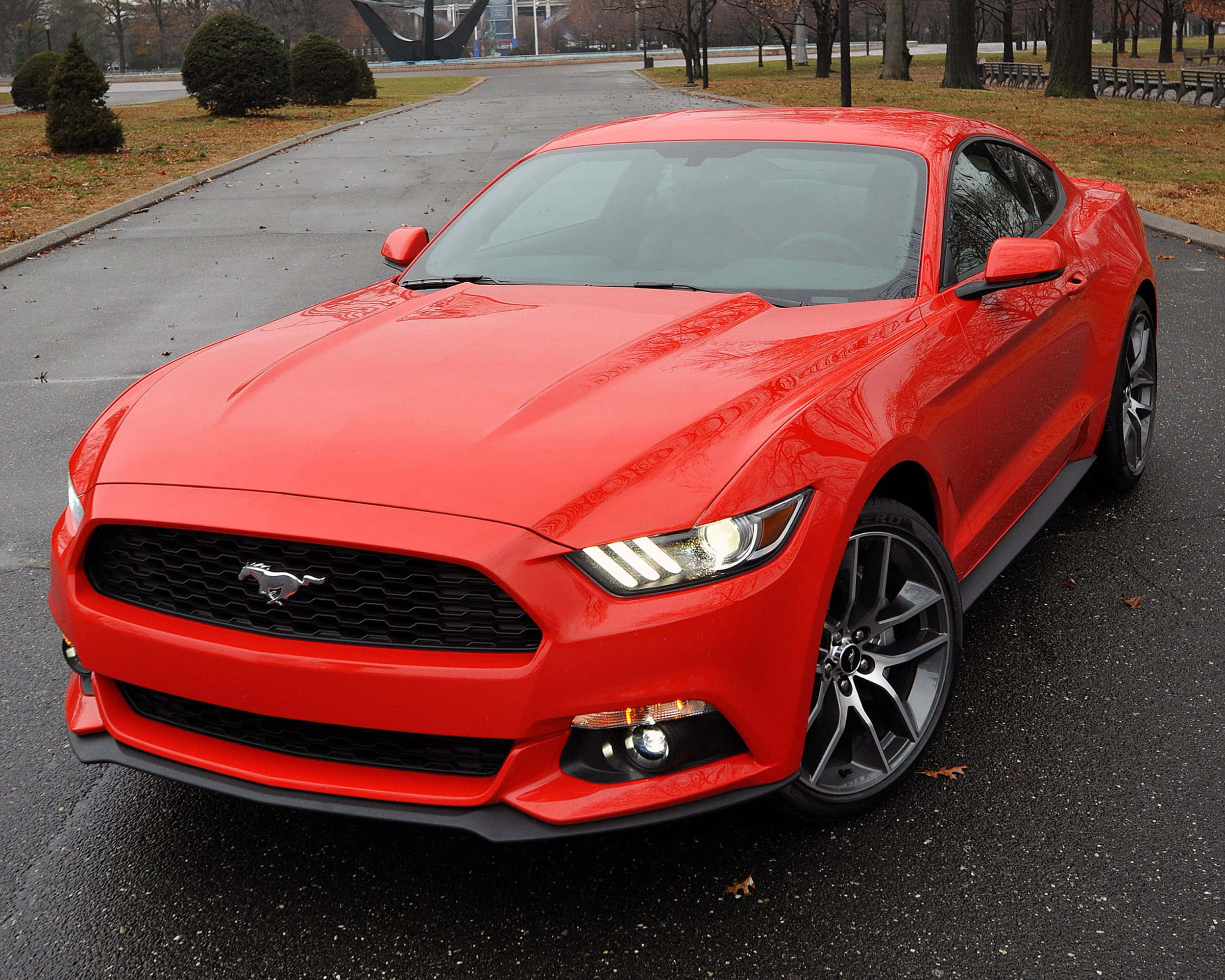 Ford Mustang Ecoboost, glossy red, wet asphalt road, Full HD Desktop Wallpaper