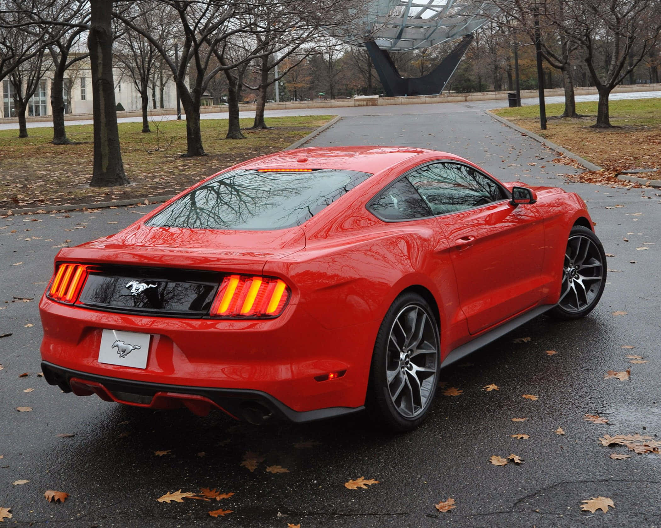 Ford Mustang EcoBoost, glossy red, wet pavement, Full HD Desktop Wallpaper