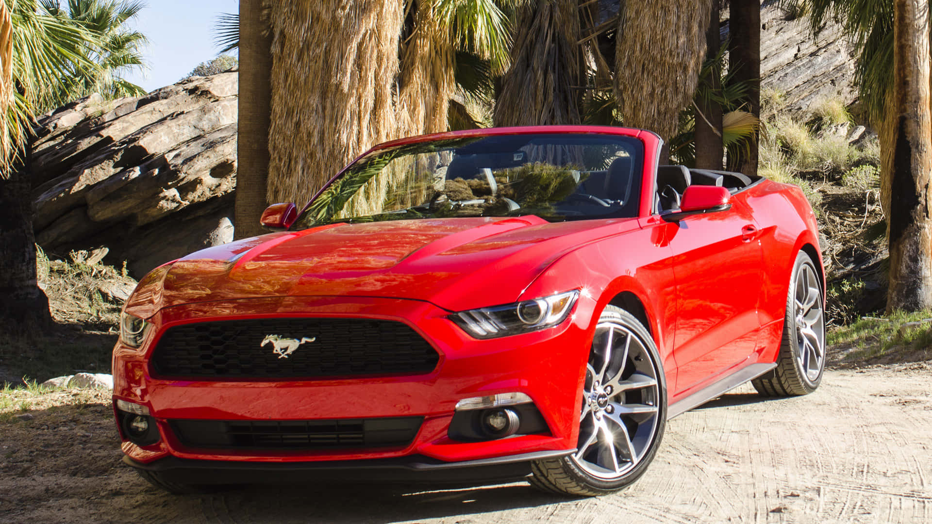 Ford Mustang Ecoboost, vibrant red, convertible, Full HD Desktop Wallpaper