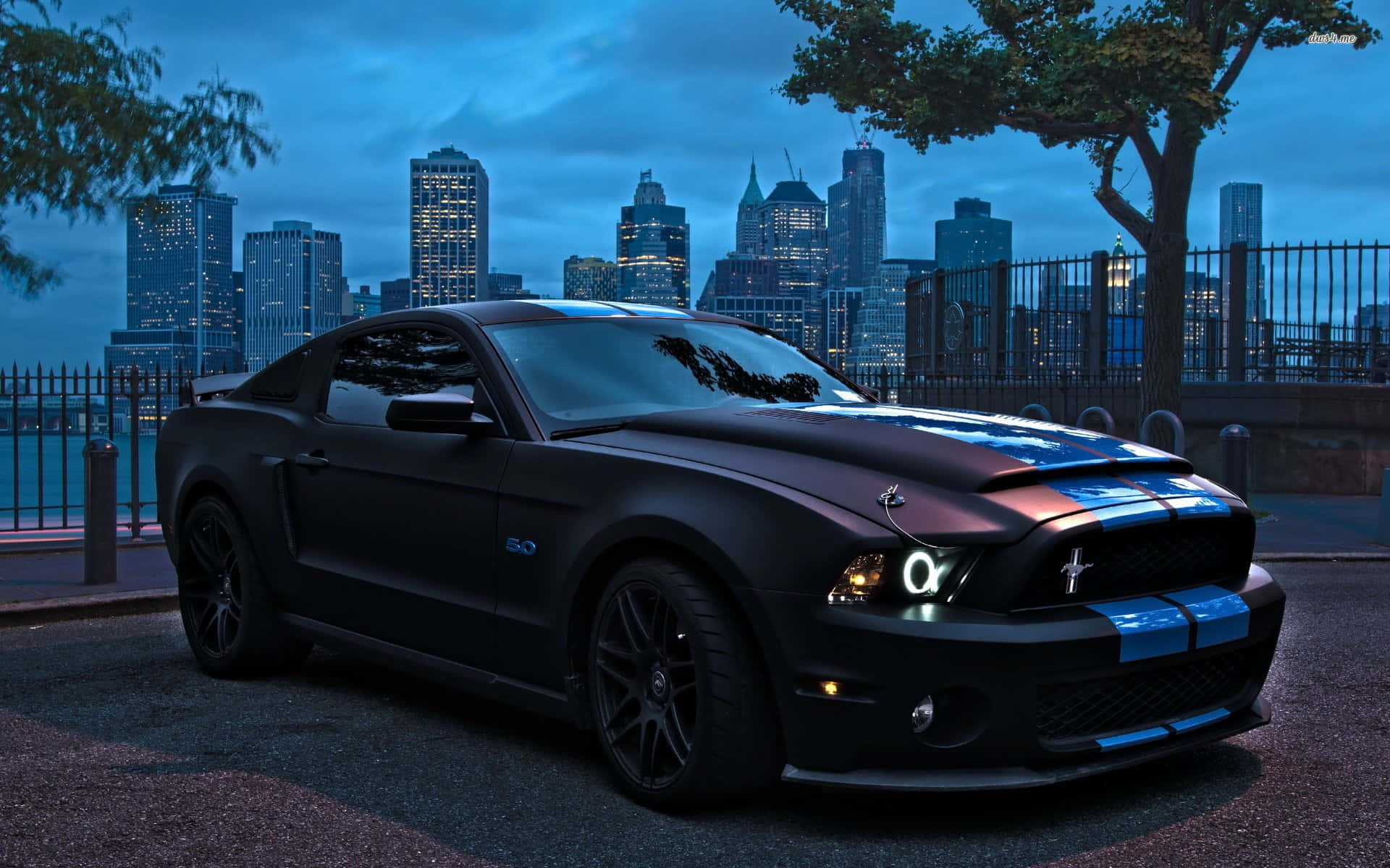 Ford Mustang, black, blue racing stripes, Full HD Desktop Wallpaper