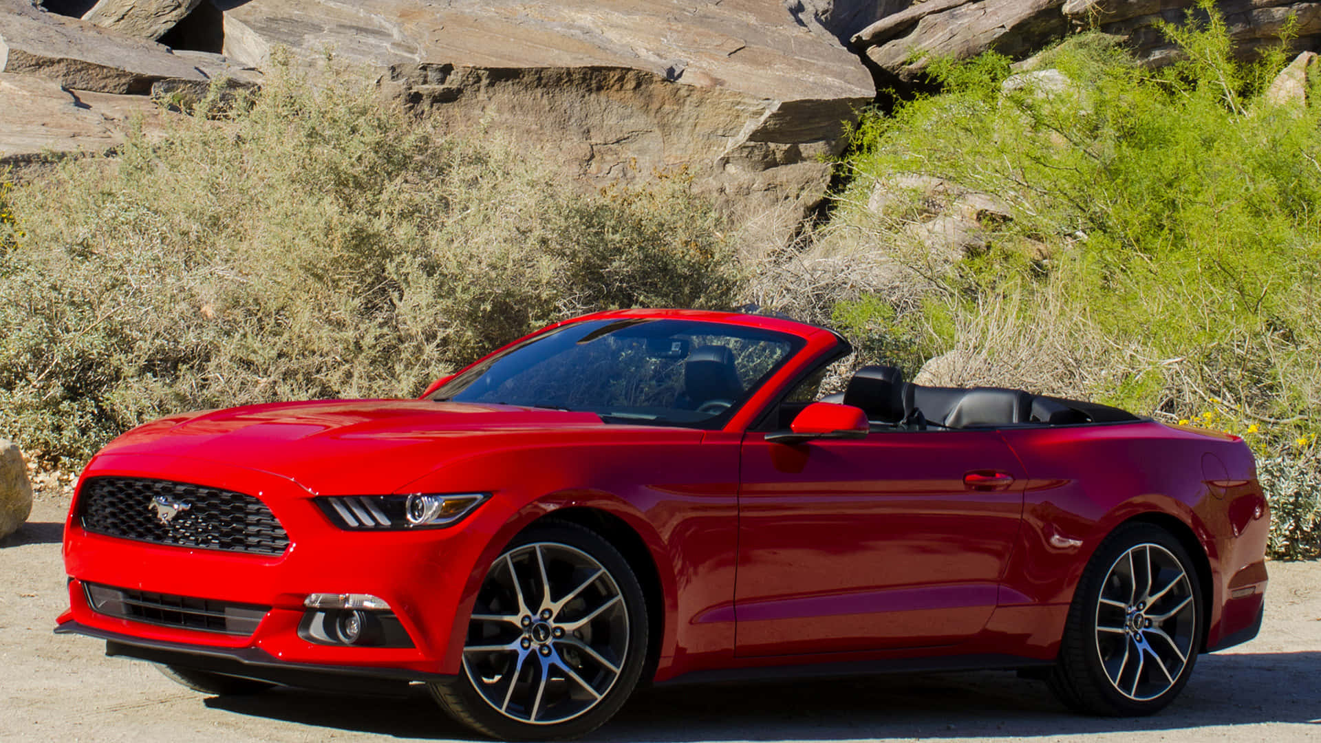 Ford Mustang Ecoboost, glossy red, convertible, Full HD Desktop Wallpaper