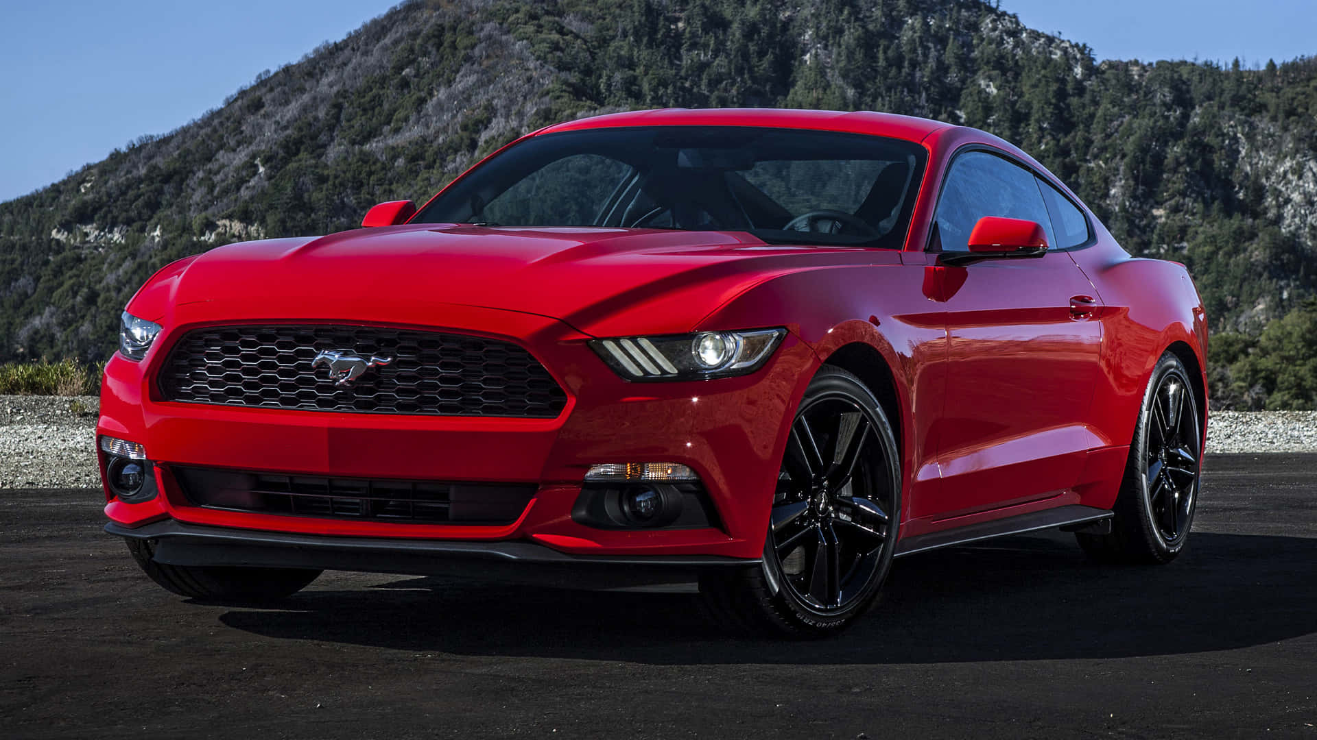 Ford Mustang Ecoboost, glossy red, asphalt, Full HD Desktop Wallpaper