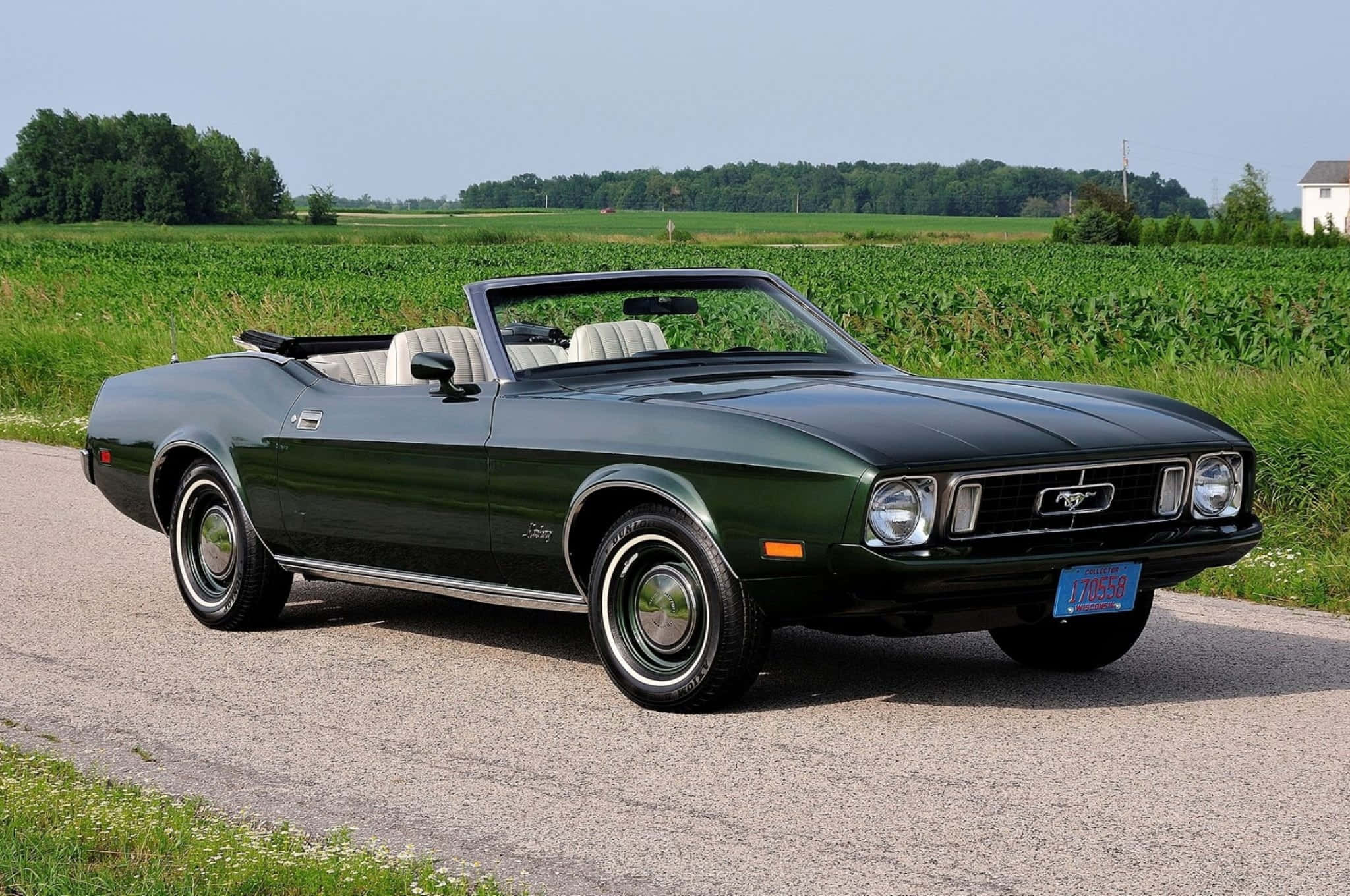 Ford Mustang GT Convertible, dark green, white interior, Full HD Desktop Wallpaper